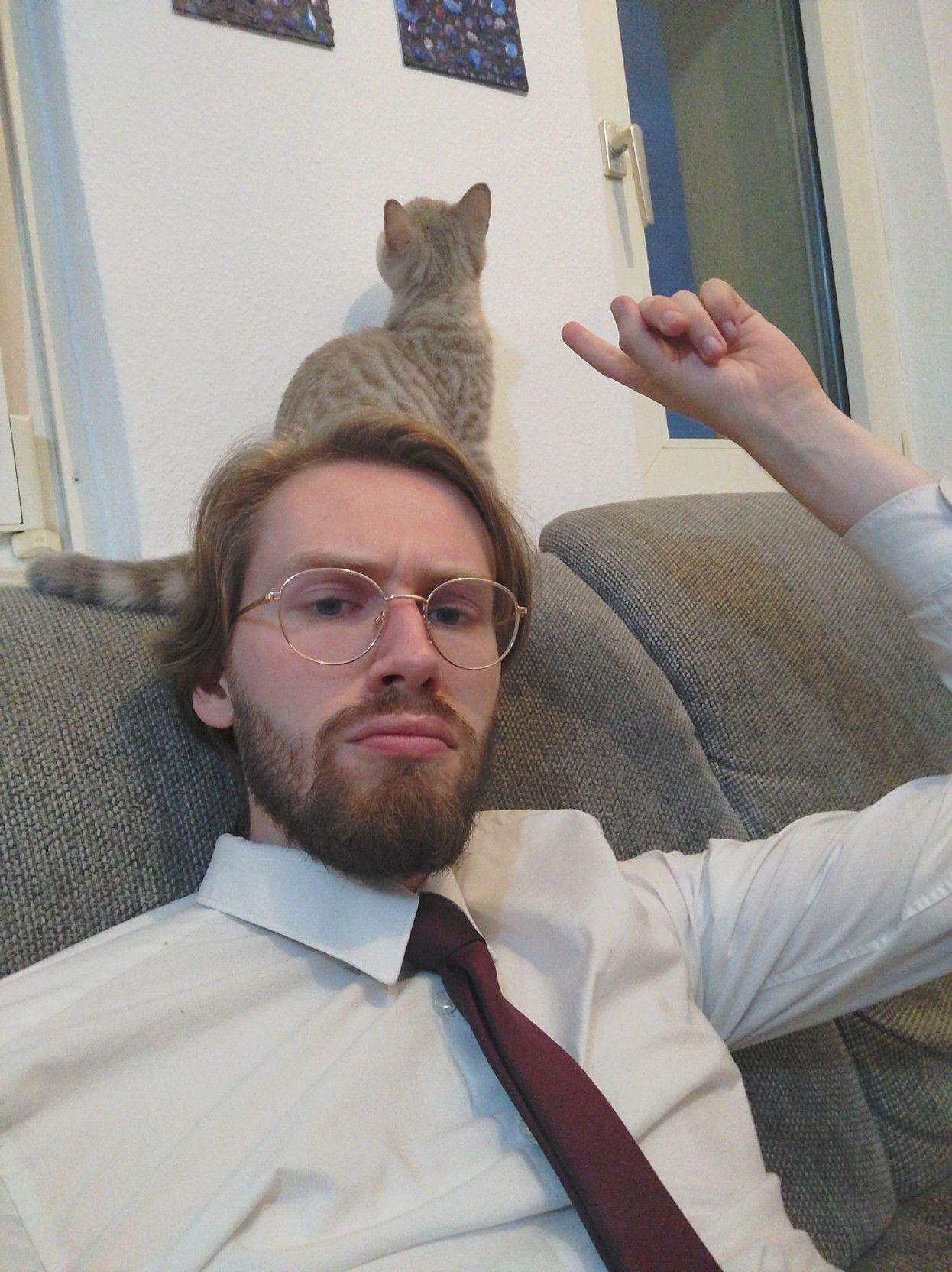 A picture of me pointing at my cat sitting above and behind me