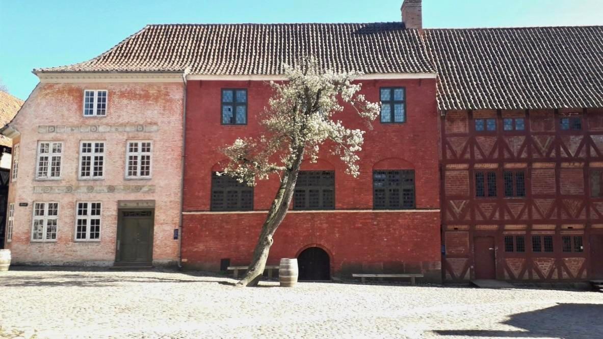 A single tall tree with white blossoms, rising alone in an empty cobbled courtyard, a single old wooden beer barrel beside it. The backdrop behind it is a row of centuries-old weathered buildings, one light pink, one rust-red, one dark red and half-timbered. Above them, a sliver of light blue sky.Taken in Den Gamle By, the Old Town open-air history museum in Aarhus, Denmark.