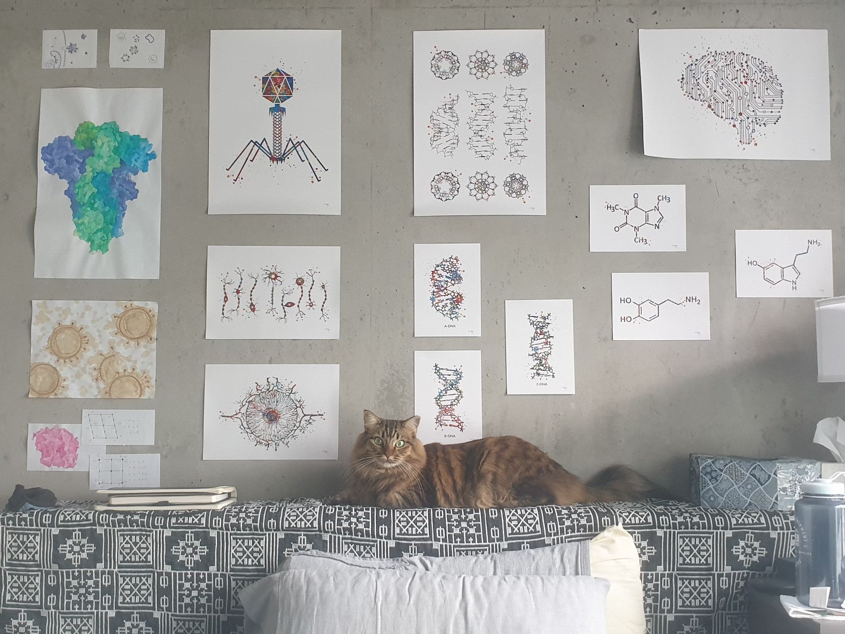 Same fluffy cat, perched on a patterned headboard against a backdrop of a concrete wall covered in science-themed art.