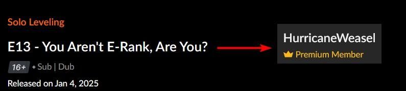 Screenshot of episode description of Solo Leveling Episode 13 with an arrow to my Crunchyroll account name with Premium Member written under it