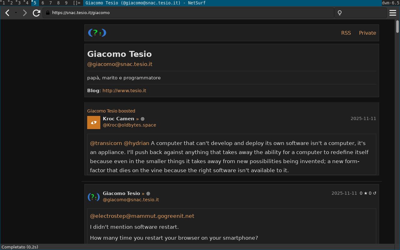 Screenshot of Netsurf browser showing Snac2 (within dwm, on a Debian GNU/Linux)