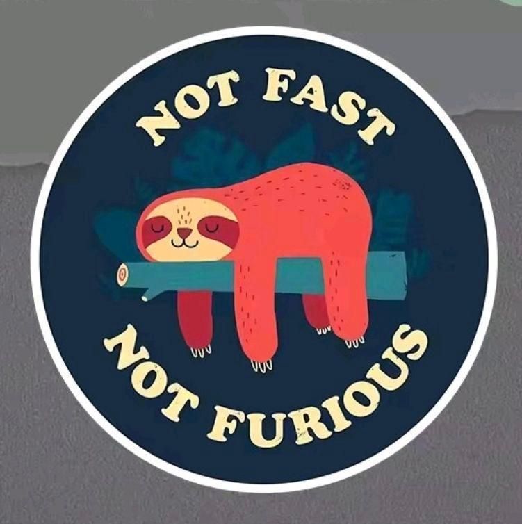 Un adesivo circolare con un'imbottitura blu scuro presenta uno sloth rosso con gli occhi chiusi che pende da un ramo teal; lo sloth ha un viso leggermente bruno, un piccolo naso e minuscole zampe bianche, con forme di fogliame blu sottili sullo sfondo. Testo in un font chiaro, curvo, che dice "NON VELOCE" in cima e "NON FURIOSO" in basso.