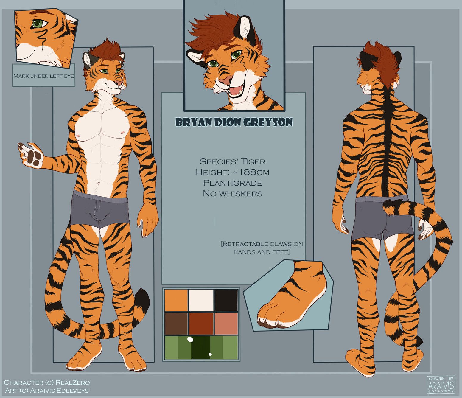 „Reference sheet“ of Bryan, a male, anthropomorphic, bipedal tiger, showing a front- and back-view and some close-ups of his face and feet..

His fur is coloured like a regular tiger: mostly orange with black stripes and white fur on the lower part of his face, going down his front, neck, chest and belly, down to his upper thighs.

He has green eyes and short, orange-brown hair styled upwards.

He has a long, orange tail with black stripes and a black tail-tip. The insides of his hands as well as the underside of his feet is white with dark-brown „pawpads“ similar to real cats.

Und his left eye he has a black fur marking in the shape of a swirly line going downwards.

He has no whiskers, but retractable claws on hands and feet.

In this reference sheet he's only wearing dark-grey boxer-briefs, his chest and stomach muscles are visible very slightly.