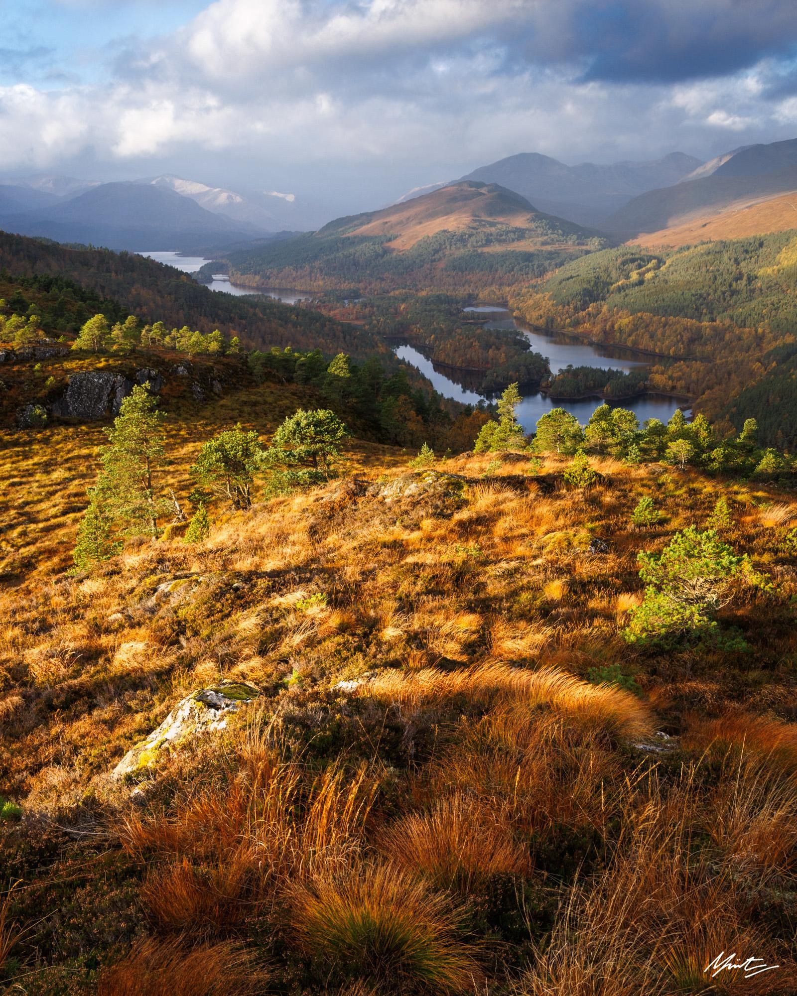 a vertical format photograph of an autumnal scottish glen, with a foreground of orange grasses and rocks, scots pine saplings, leading to a wider glen featuring lochs and mountains beyond. sunrise light cuts across the scene with puffy clouds above