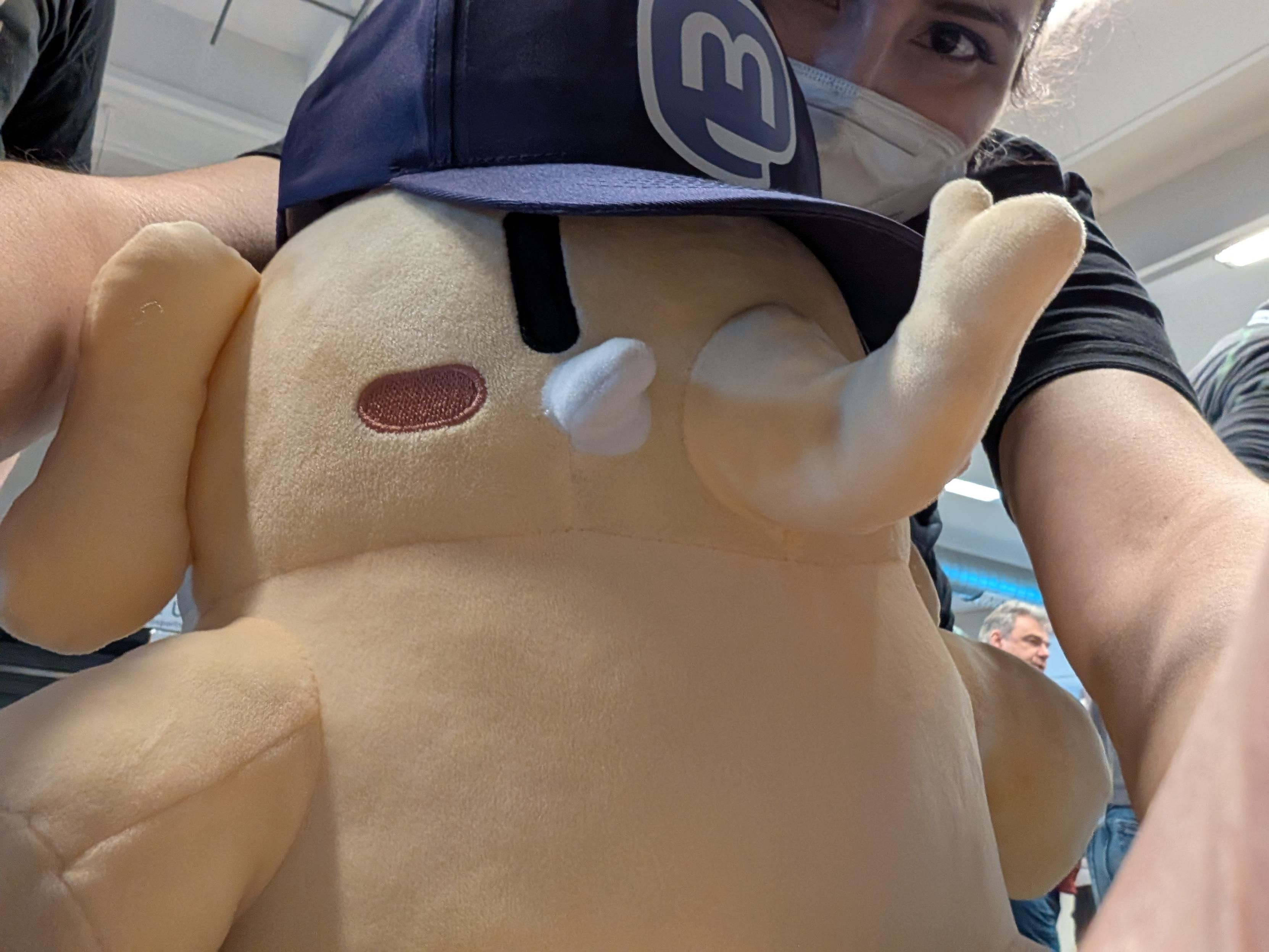 The Plushtodon wearing a purple hat taking a selfie.