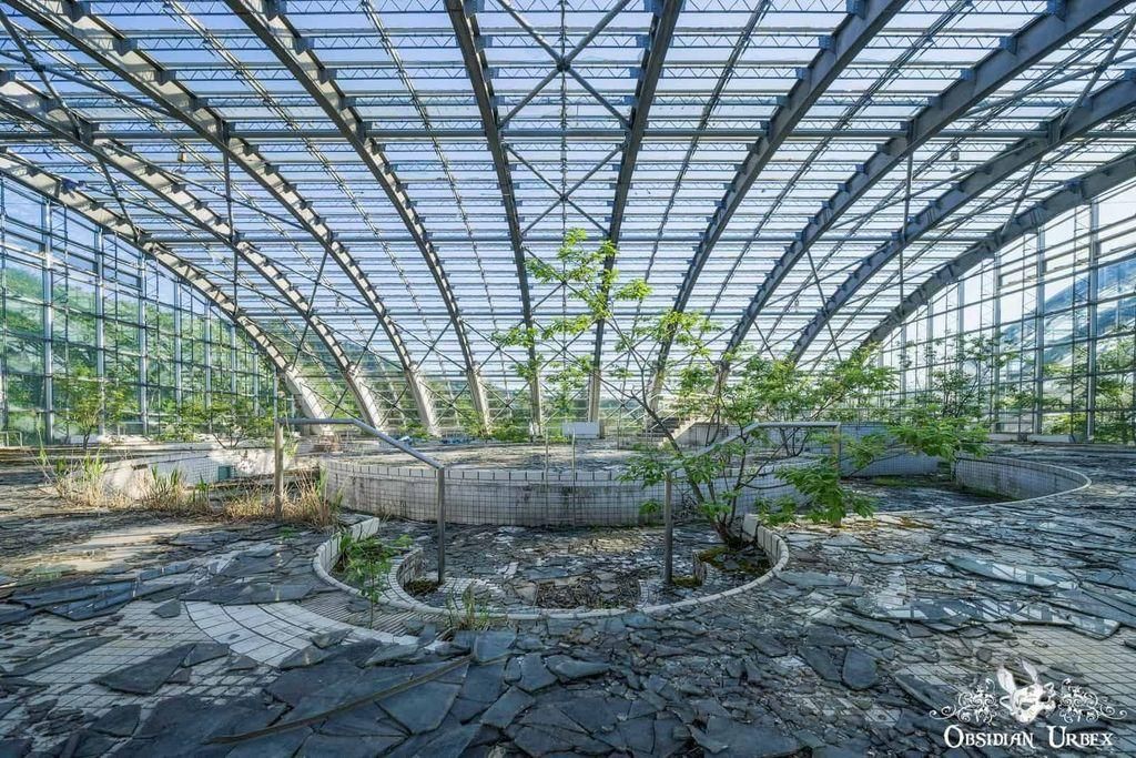 An abandoned glass greenhouse with a cracked tiled floor and small trees growing inside, under a curved metal roof structure.