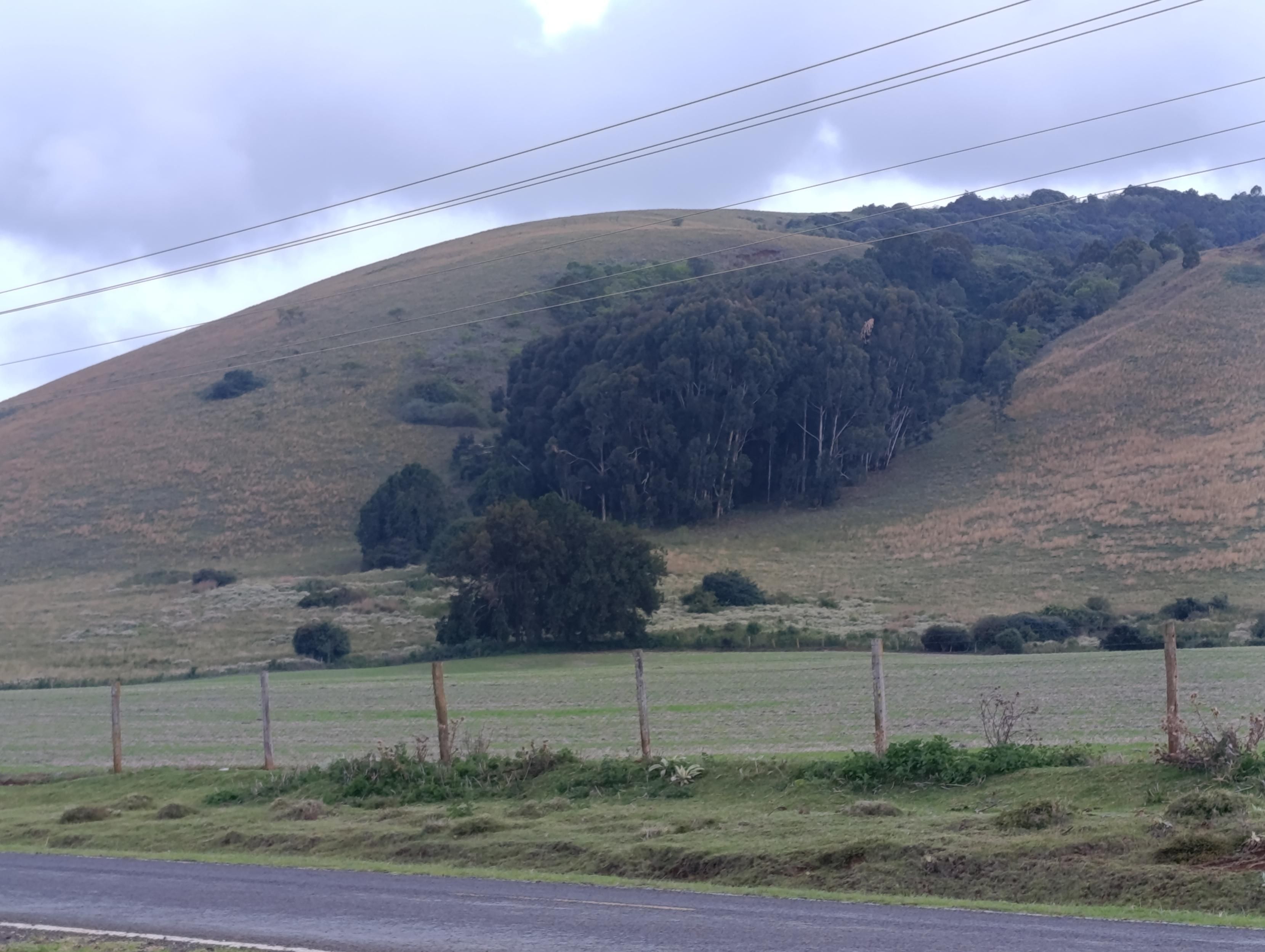 Hills on a vast Kisima farm in Kenya. 