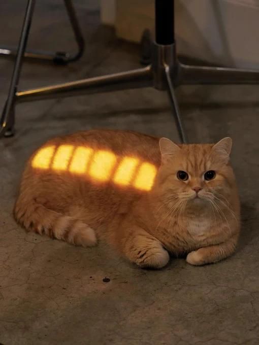 A photograph of a ginger cat, with orange markings from the sun coming into the room exactly like the symbol for a charging battery on a phone or laptop