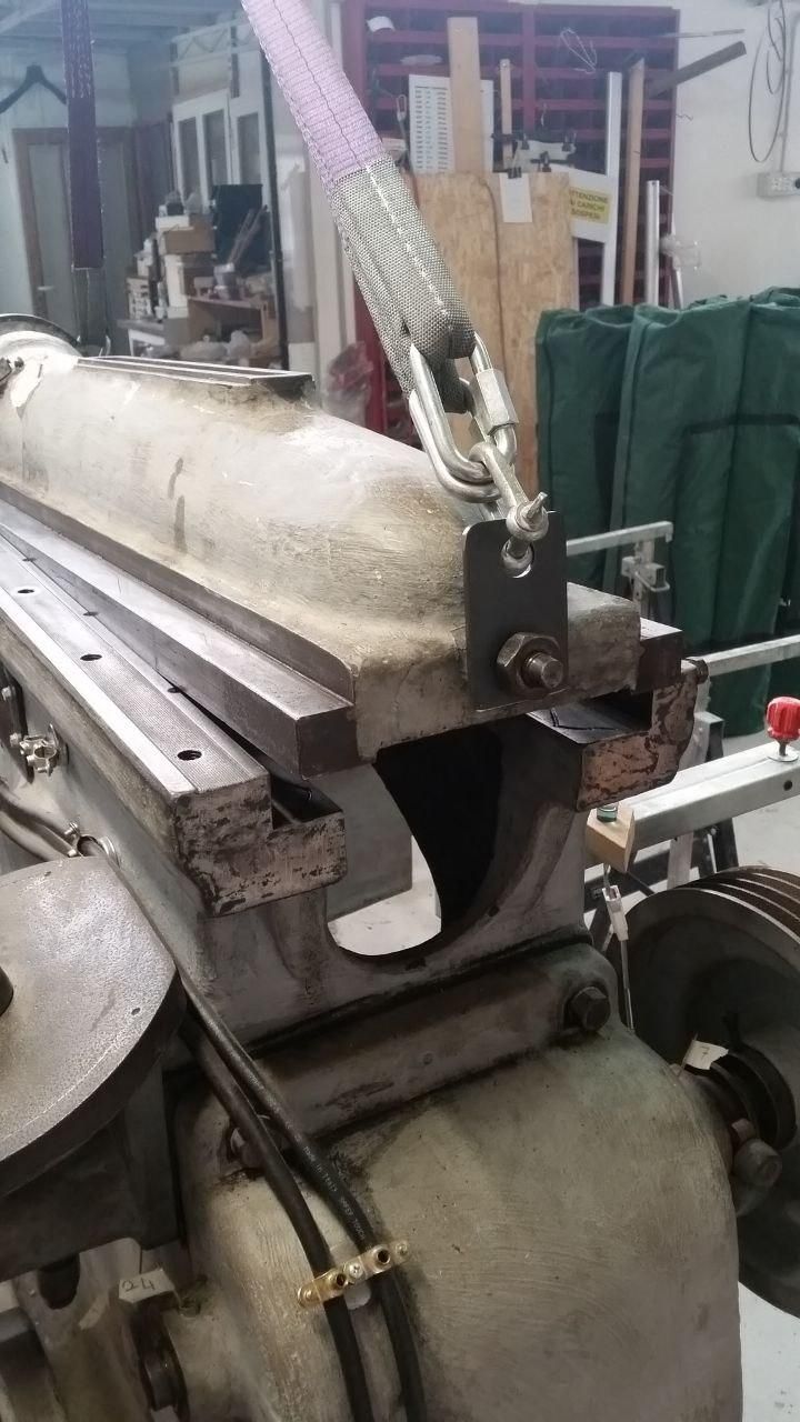 Parte posteriore della limatrice con testa un po' sollevata.