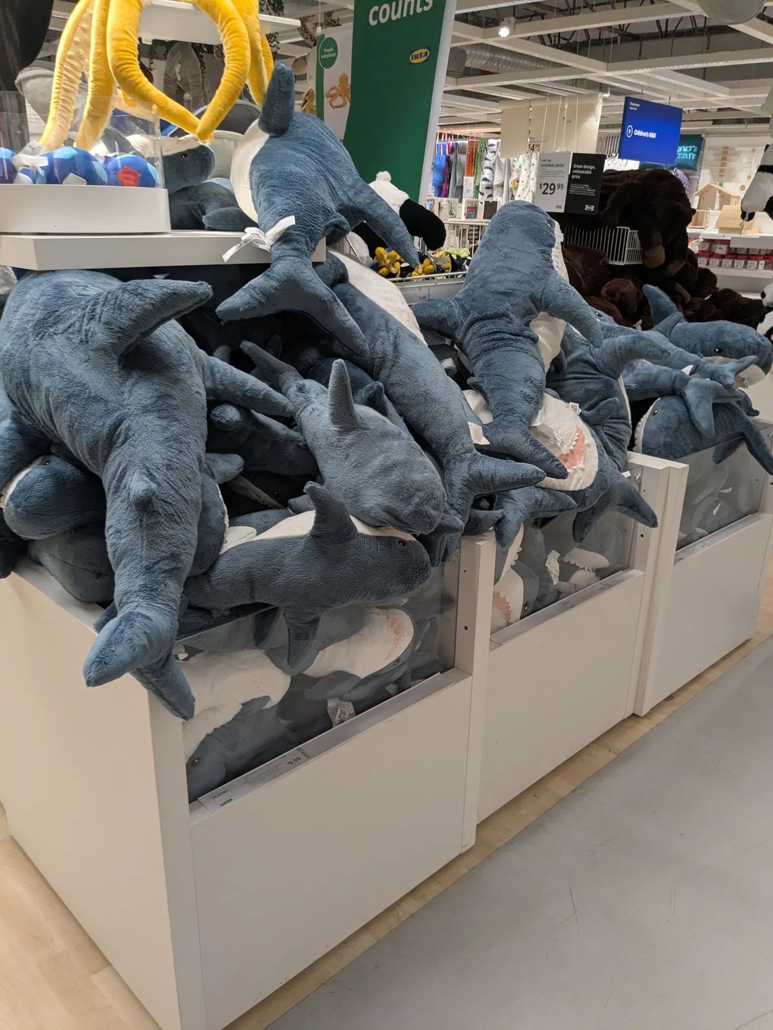 just a bunch of blahaj plushies in a bin
