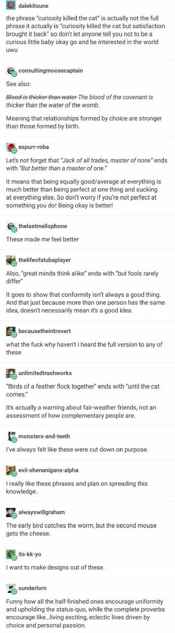 A tumblr screenshot with a bunch of sayings. no space to show all text but:

the phrase “curiosity killed the cat” is actually not the full phrase t actually s ‘curiosity killed the cat but satisfaction brought it back” so don't let anyone tell you not to be-a curious little baby okay go and be interested in the world uwu

See also

Blood is thicker than water- The blood of the covenant is thicker than the water of the womb.

Meaning that relationships formed by choice are stronger than those formed by birth

Lets not forget that “Jack of all trades, master of none" ends with ‘But better than a master of one.”

It means that being equally good/average at everything is much better than being perfect at one thing and sucking at everything else. So don't worry if you're not perfect at something you do! Being okay is better!

Also, great minds think like’ ends with “but fools rarely differ”

It goes to show that conformity isnt always a good thing And that just because more than one person has the same idea, doesnt necessarily mean it's a good idea


“Birds of a feather flock together” ends with ‘until the cat comes:”

its actually a warning about fair-weather frends,not an assessment of how complementary people are

The early bird catches the worm, but the second mouse gets the cheese.

Funny how all the halffinished ones encourage uniformity and upholding the status-quo, while the complete proverbs encourage living exciting, eclectic lives driven by choice and personal passion 
