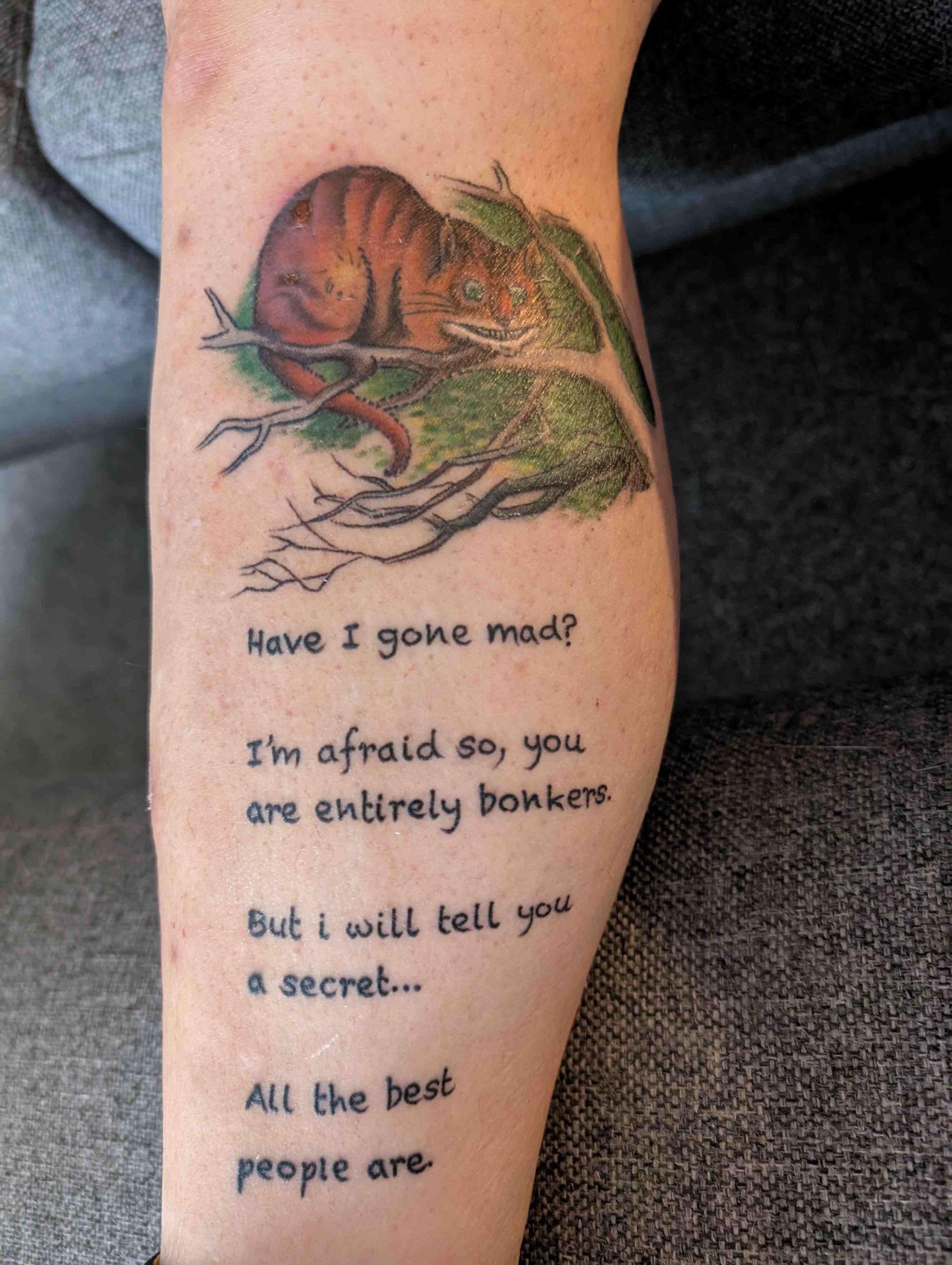 Chesire Cat from Alice. A tubby orange cat with a massive grin.

Below it is writing saying:

Have I gone man?

I'm afraid so, you are entirely bonkers
But I will tell you a secret...
All the best people are.