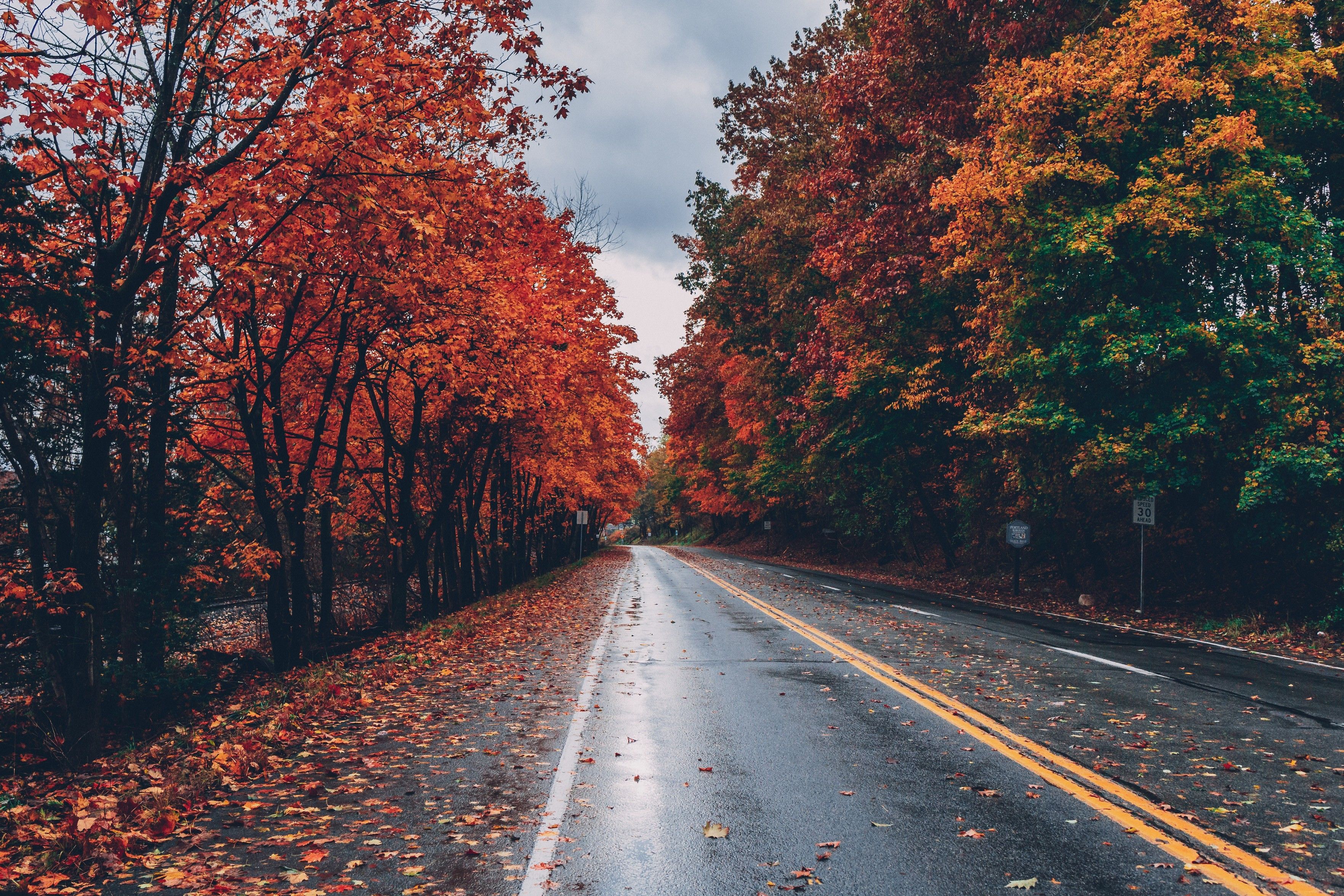 A wet tarmac road with a double yellow unbroken line in the middle, and white lines at the edges. The Day is overcast, as the light of day gives way to night. The road is flanked by autumnal trees that are slowly losing their leaves, patterns of green, yellow, orange, magenta, brown cover the ground in haphazard symmetry.
Picture photographed by Craig Adderley, is copyright free and can be found on Pexels.com
