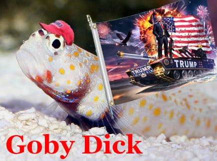 A Goby fish is obviously a dick in a maga hat waving a trump flag for Goby Dick