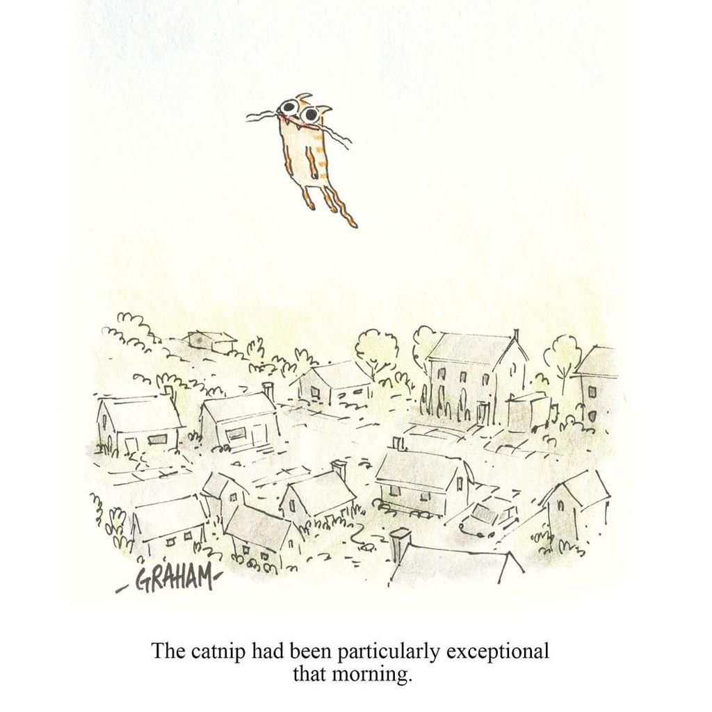 A cartoon illustration of a smiling cat floating high above a neighborhood. Caption reads "The catnip had been particularly exceptional that morning."