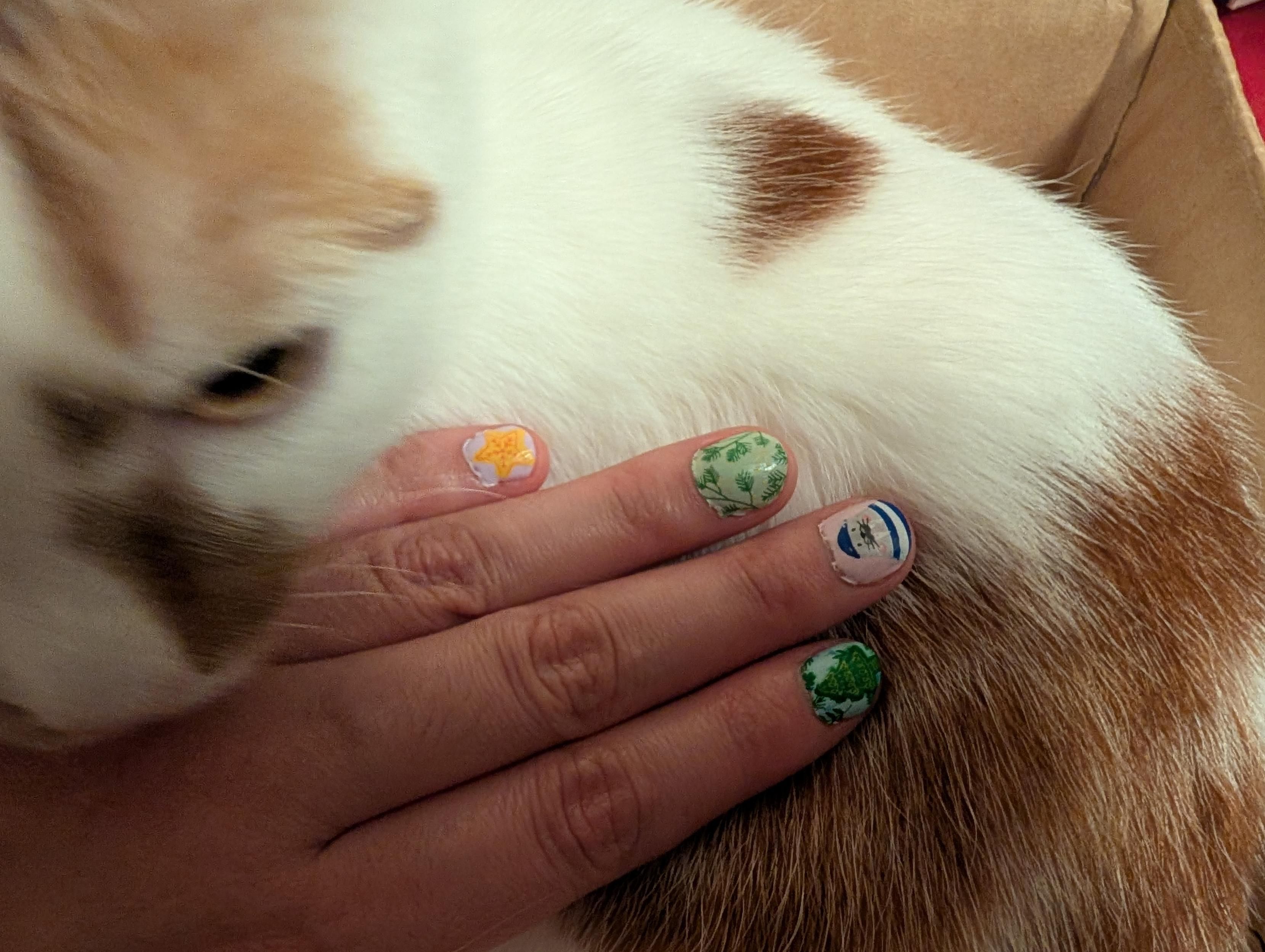 The other hand showing 4 fingers resting against the same cat, the nails have the design of a Christmas tree. A walrus, foliage, and a star.