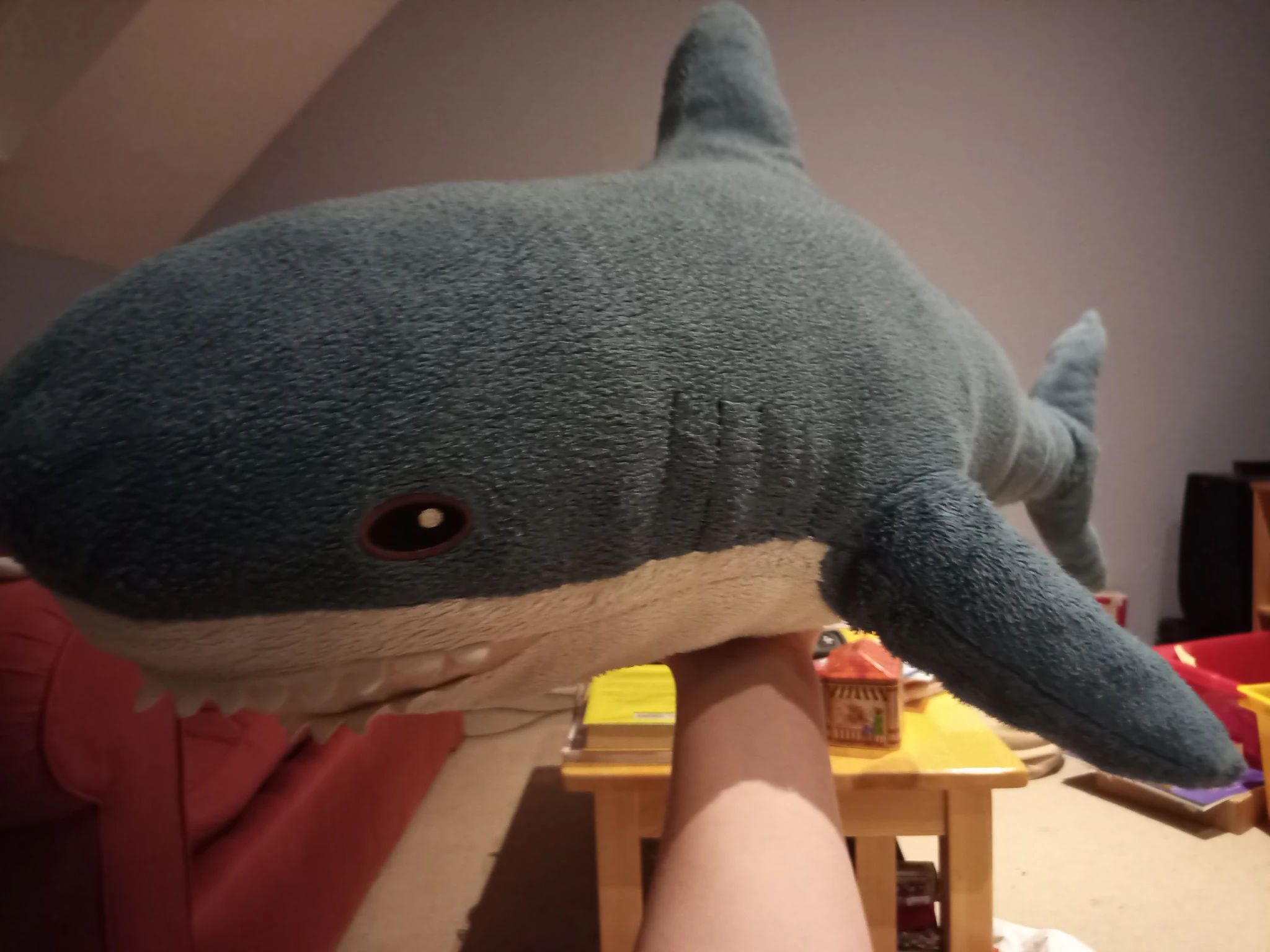 A freshly stuffed blahaj, with a full face and erect dorsal fin. They can now support themself balanced on my hand