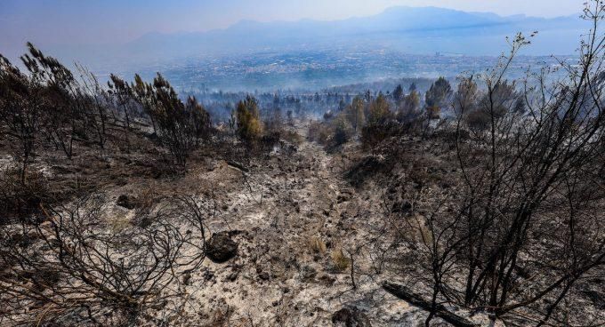 Immagine relativa all'articolo