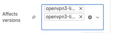 Screendump from Atlassian Jira's affected versions field, showing crippled version names which is impossible to differentiate.