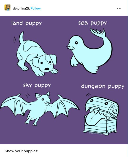 A post from tumblr user delphina2k with the caption "Know your puppies!"

It shows a "land puppy" with a drawing of a dog, a "sea puppy" with a drawing of a seal, "sky puppy" with a drawing of a bat, and "dungeon puppy" with a treasure chest with a big tongue.