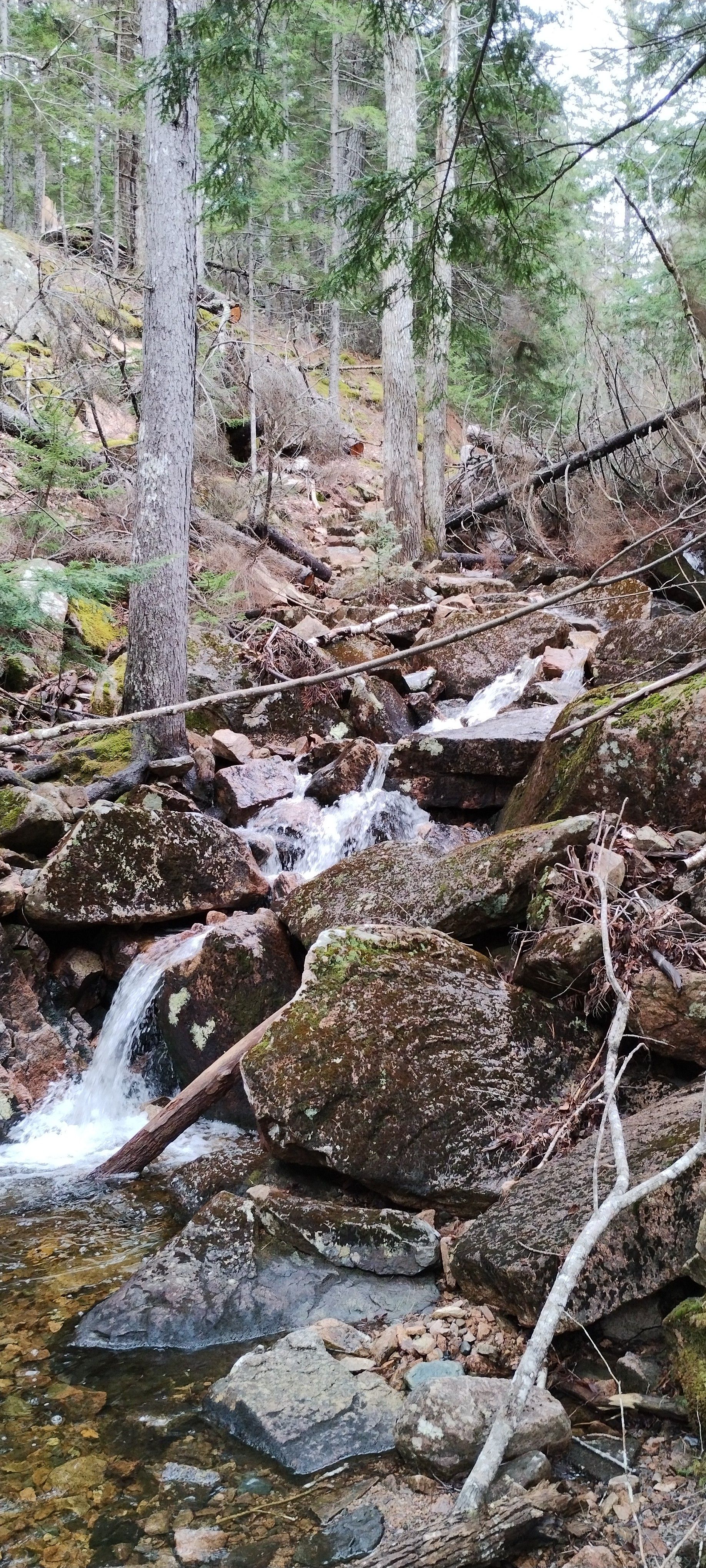 A stream cascades through 3 little waterfalls on Giant Slide Trail, ANP, 2025-04