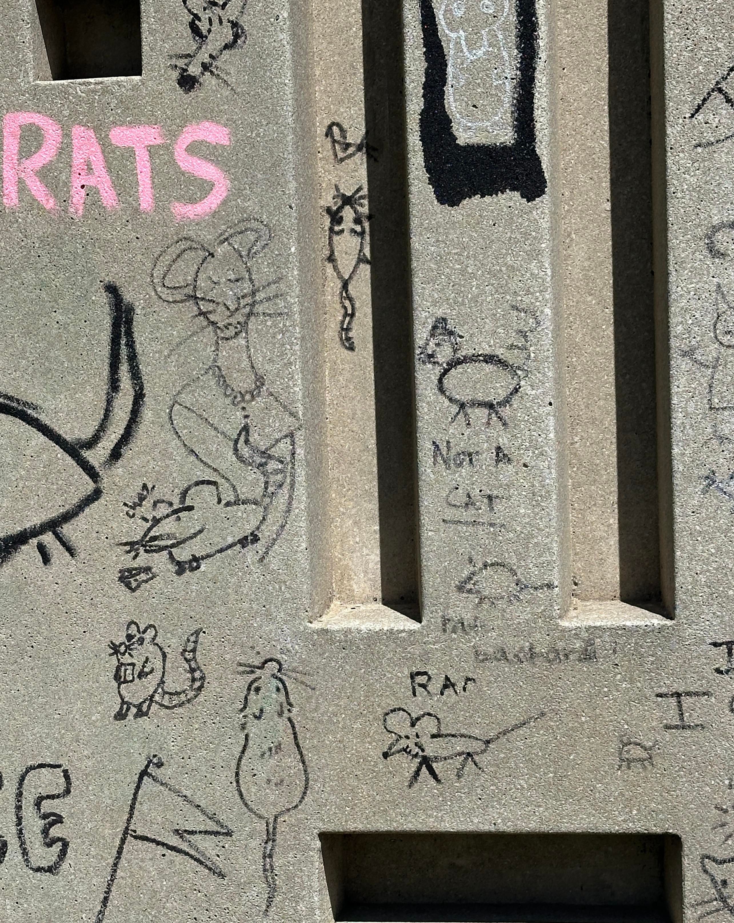Rat wall detail. Many rats 