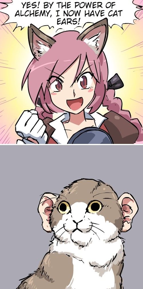 Two panel comic by john_su. 
First panel has an anime girl with pink hair and cat ears saying, "Yes! By the power of alchemy, I now have cat eats!"
Second panel show a normal cat, but it has human ears instead.
