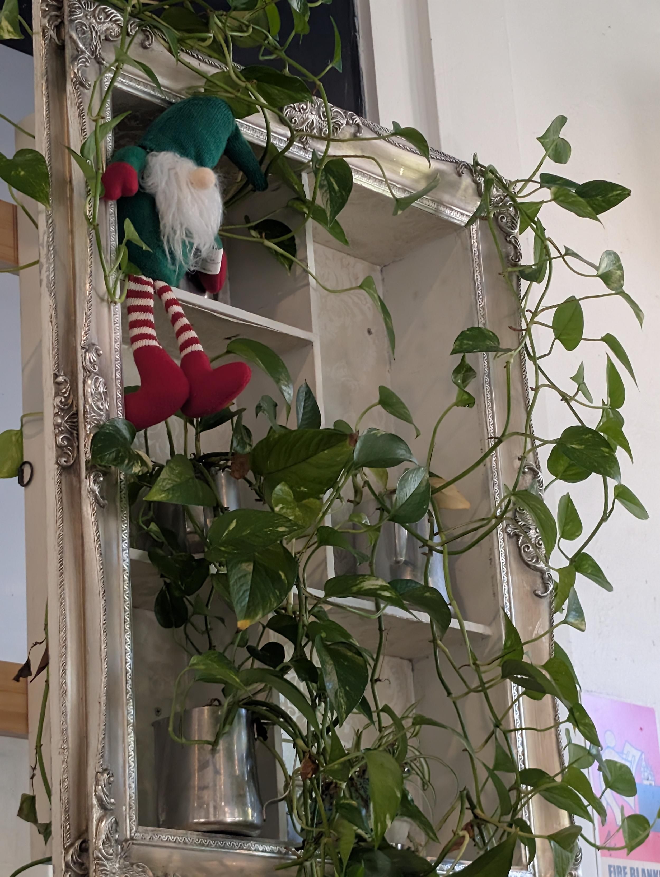 The elf is sitting in a framed set of little shelves with plants on it and at the top is elf