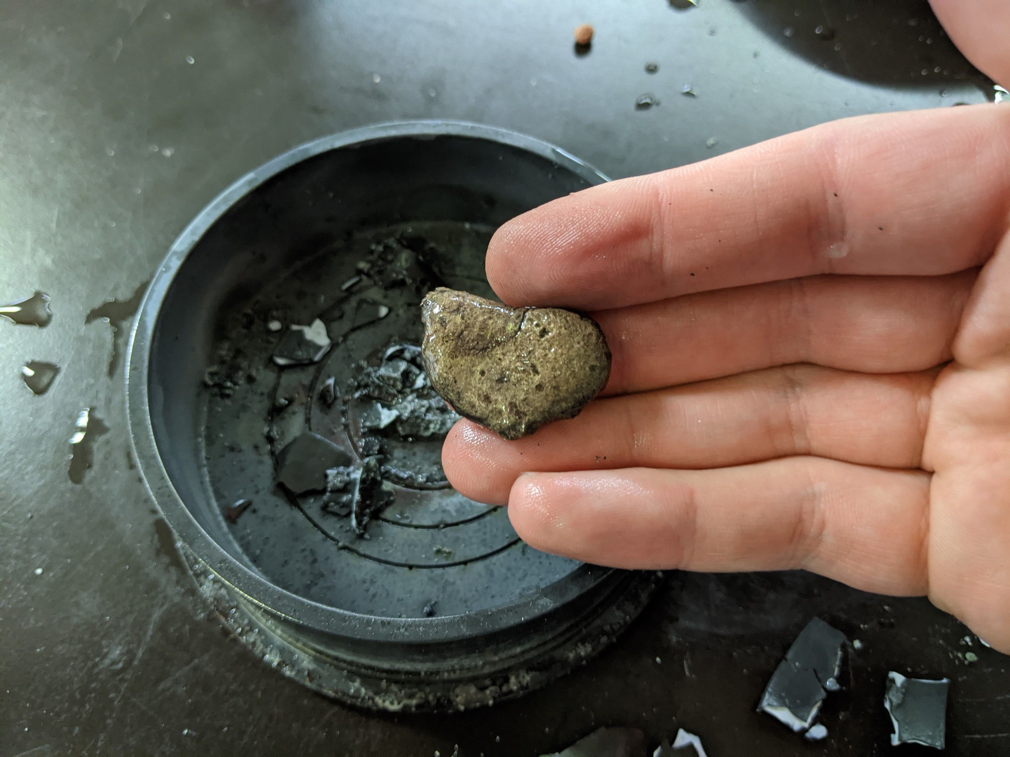 A hand holding the ingot of alloy, now cleaned. In the background the shattered remains of the crucible can be seen.