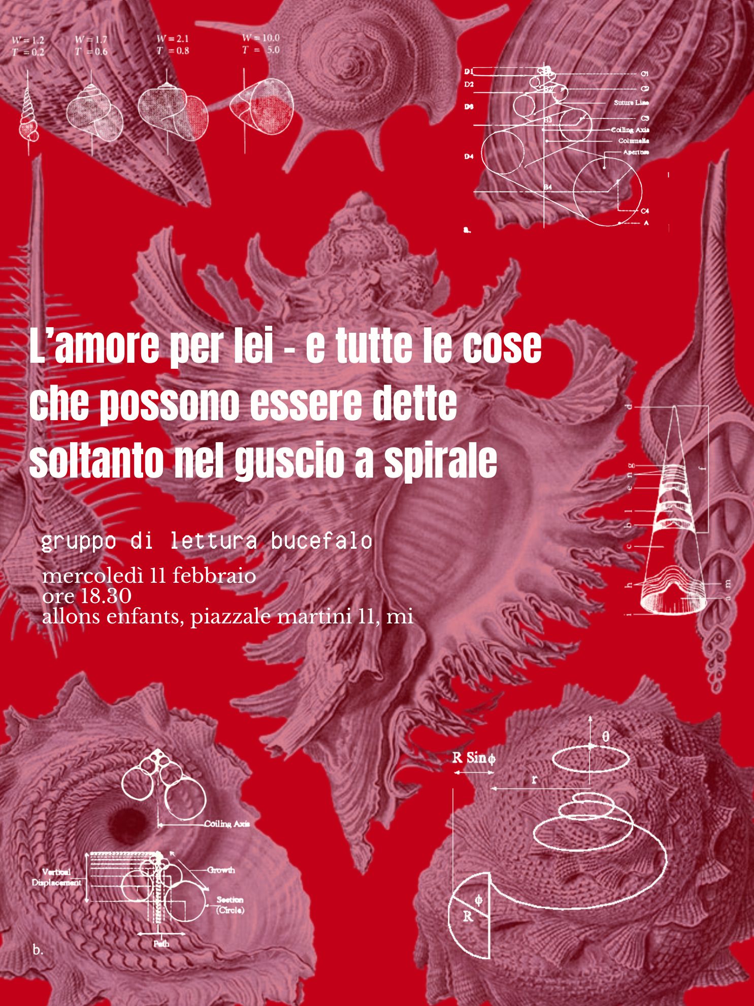 locandina con sfondo rosso, che riprende un disegno di Haeckel di conchiglie di vario genere. alle figure di Haeckel sono sovrapposti, in bianco, grafici e formule matematiche che "scompongono" quelle bellissime spirali e conchiglie. il testo della locandina dice (sempre in bianco): L'amore per lei – e tutte le cose che possono essere dette soltanto nel guscio a spirale, gruppo di lettura bucefalo, mercoledì 11 febbraio ore 13.80, allons enfants, piazzale martini 11, milano