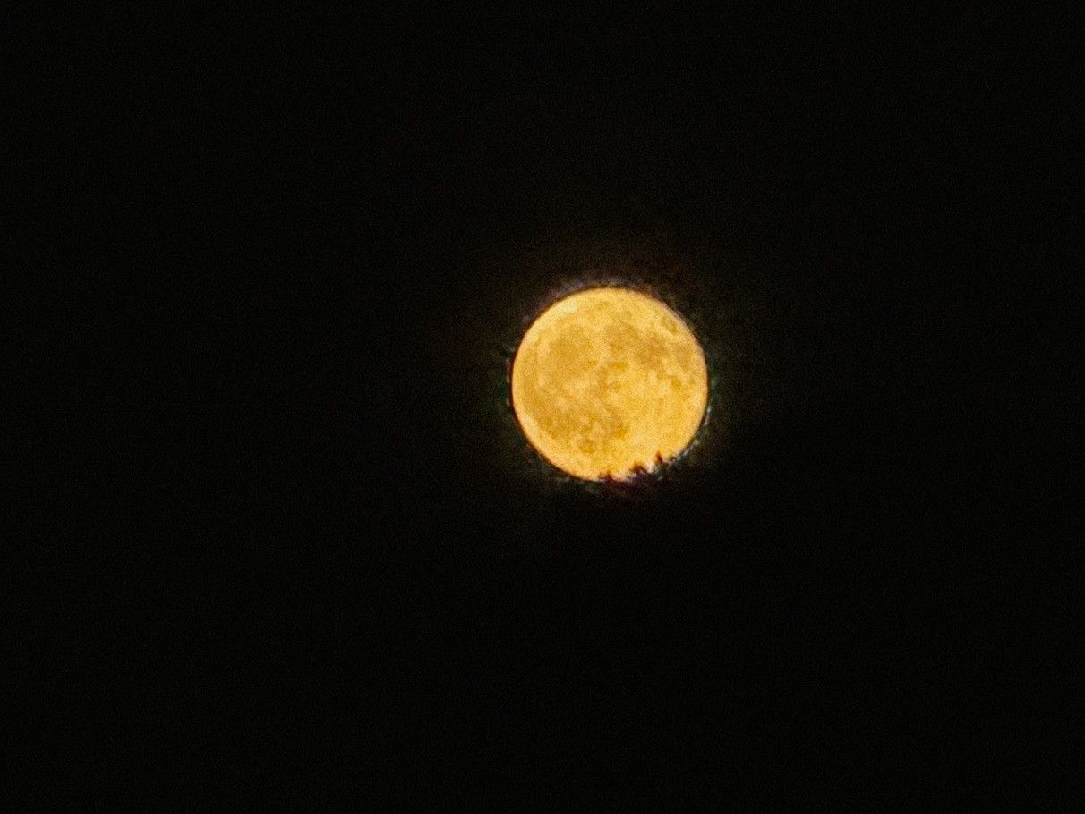 The full moon low in the sky and with an orange tint. The tops of trees can barely be seen in the bottom right in front of the moon. 