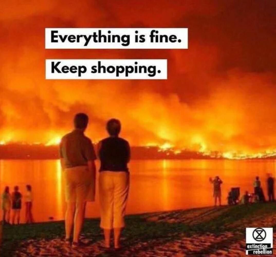 People gather at the beach to watch the world burn. They don't do anything, they just watch.
Everything is fine.
Keep shopping. 