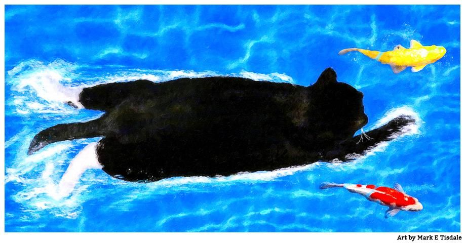Digital art that shows a black cat seen from above swimming in blue water. He's surrounded by colorful koi fish.