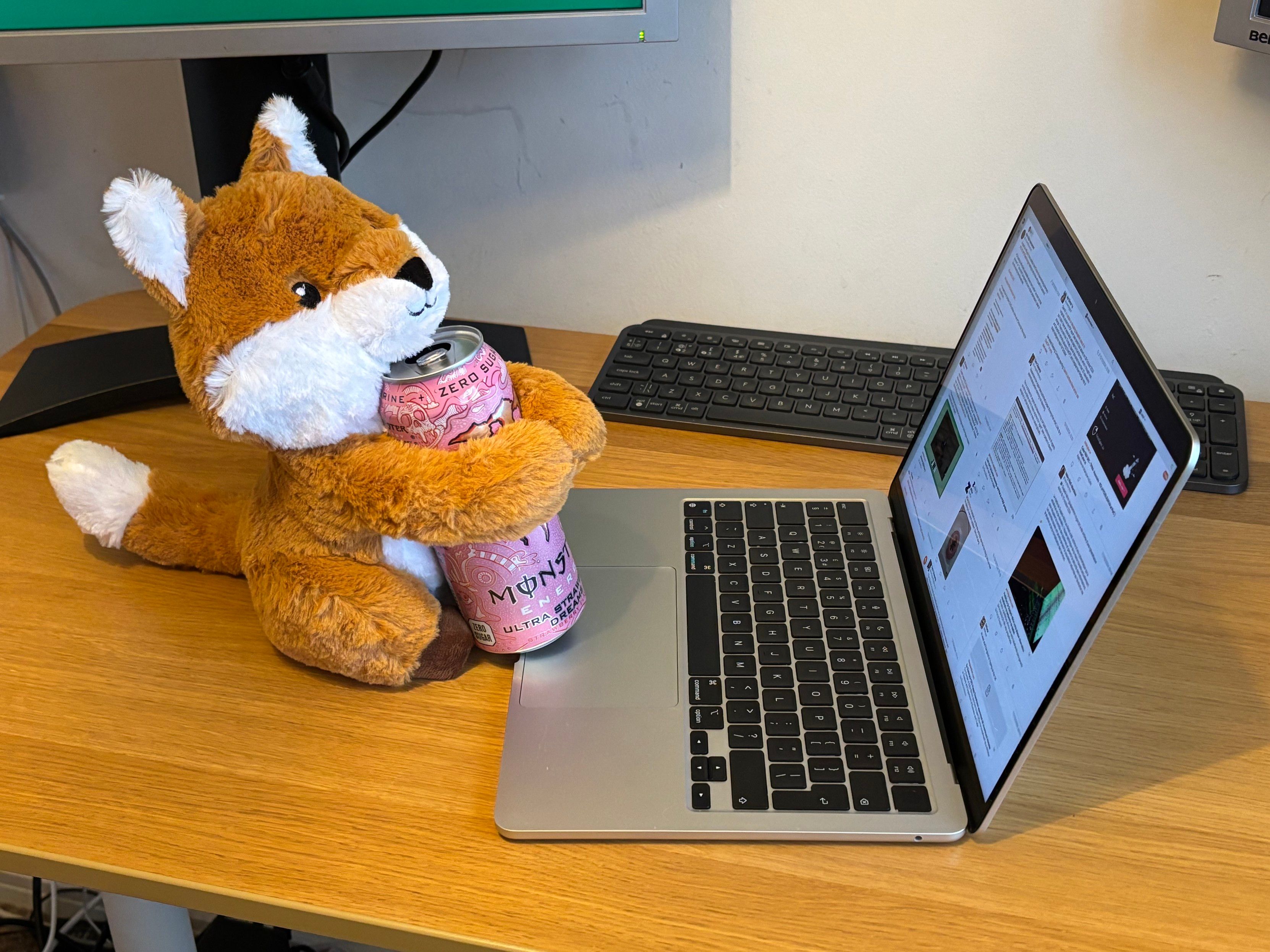 Cute red fox plushie holding a monster energy drink in front of a mac with ivory on the screen