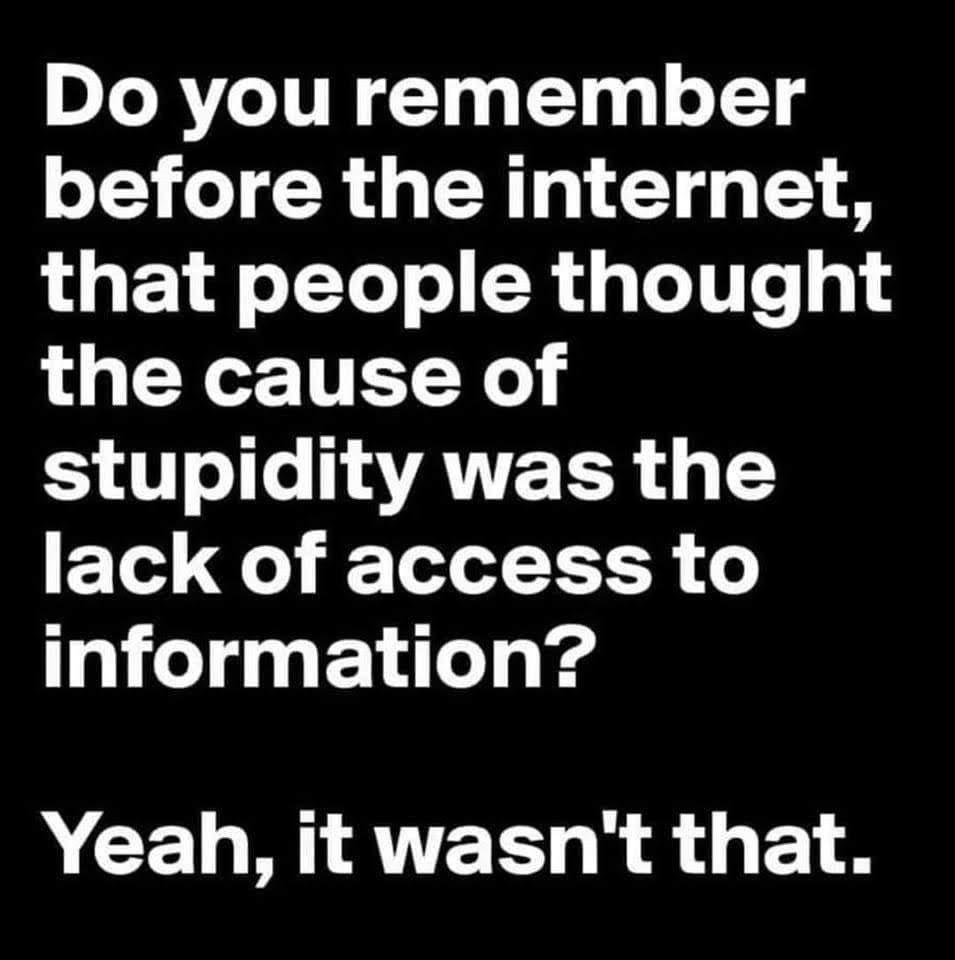 Do you remember
before the internet,
that people thought
the cause of
stupidity was the
lack of access to
information?

Yeah, it wasn't that.
