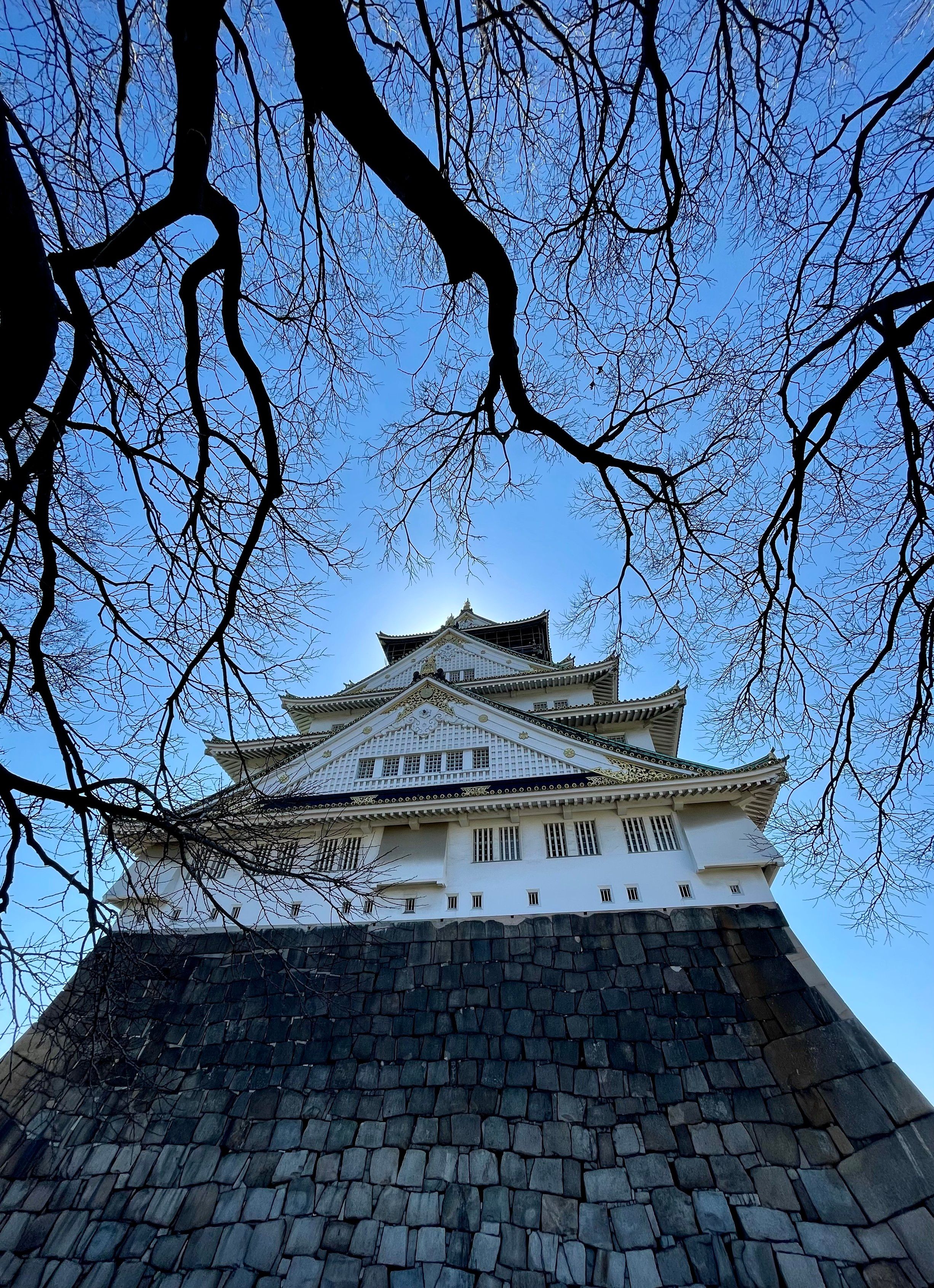 Osaka Castle under a blue sky, framed by the leafless branches of a tree. The low winter sun is hidden behind the spire of the castle. The castle is painted white and has many eaves in the style of Japanese buildings. It rests on a giant foundation of large, square-hewn boulders in the shape of the bottom half of a pyramid. It's very big and looks imposing.