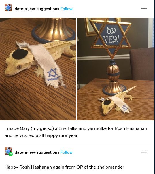 a picture of a gecko named Gary with a tiny tallis and yarmulke in front of a bell reading "Oy vey!"

the caption reads "Happy Rosh Hashanah again from the shalomander"
