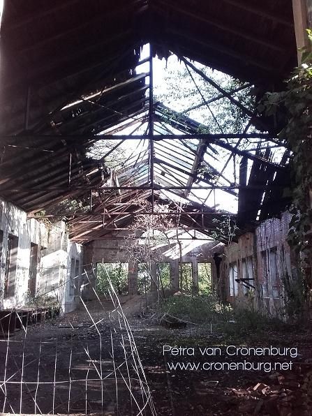 An enormous hall like a cathedral. Only the raw walls remain, the roof has partially collapsed and lets the sunlight in. Nature is taking over the site with bushes and undergrowth: a few young trees are growing inside. The ground in the foreground is littered with rubbish from oil production. It's the central workshop of an oil mine over 100 years old.