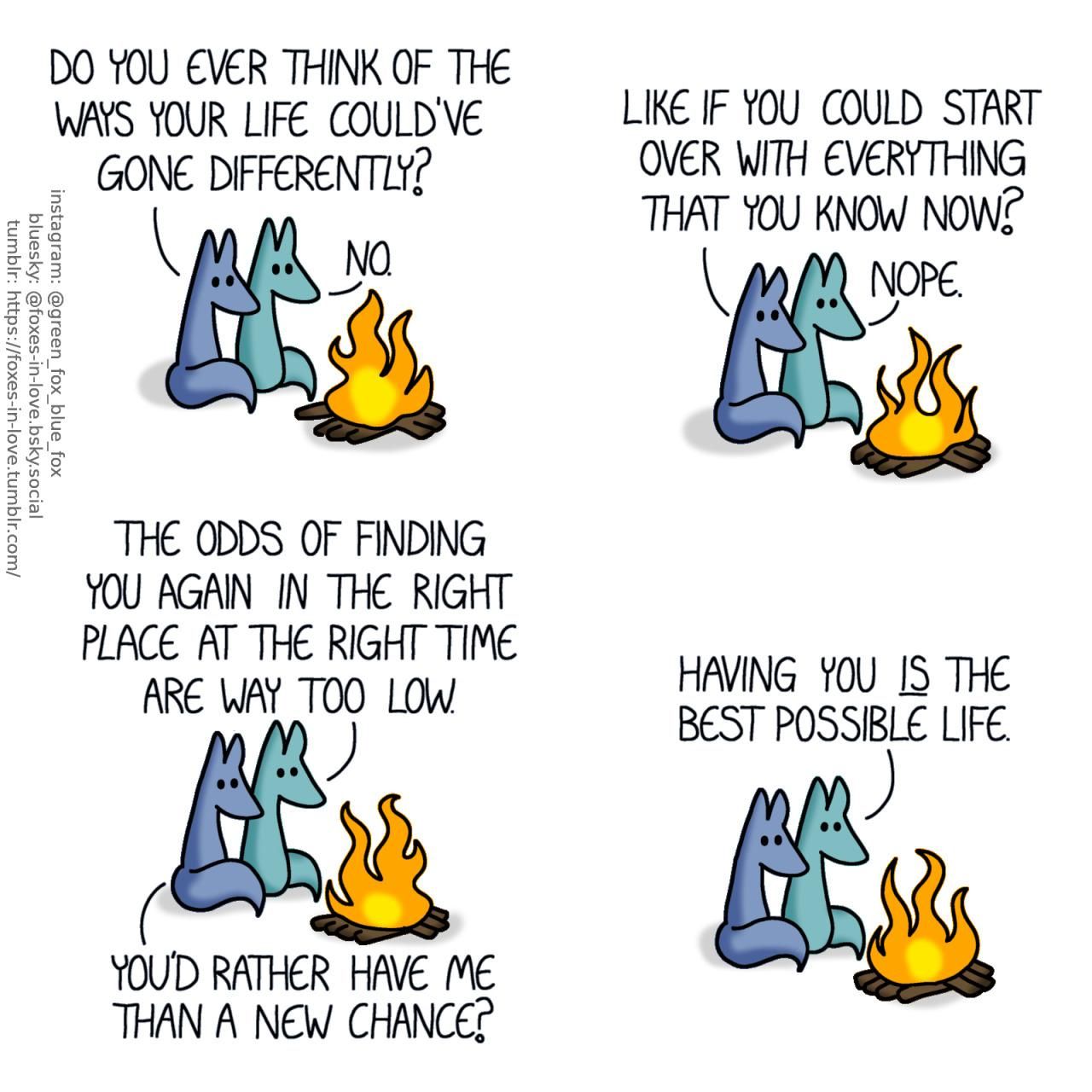 A comic of two foxes, one of whom is blue, the other is green. In this one, Blue and Green are sitting at a little bonfire, gazing restfully into the flickering flames. Blue: Do you ever think of the ways your life could've gone differently? Green: No. Blue: Like if you could start over with everything that you know now? Green: Nope. The odds of finding you again in the right place at the right time are way too low. Blue: You'd rather have me than a new chance? Green: Having you is the best possible life.
