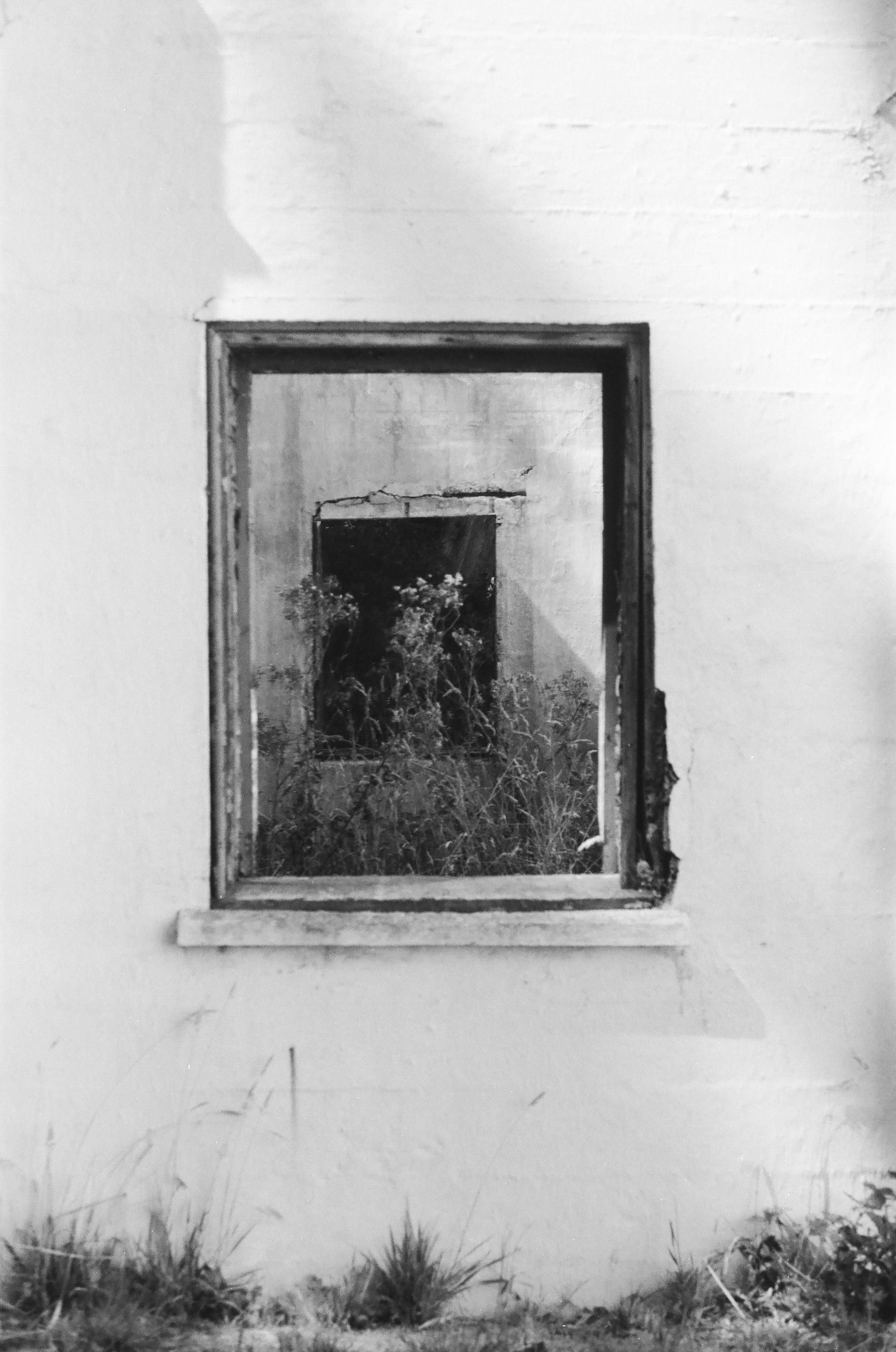 A blank wall is the majority of the photo, with a line of weeds along the bottom. A glassless window is set in the center, through which weeds, a wall, and another window can be seen. 