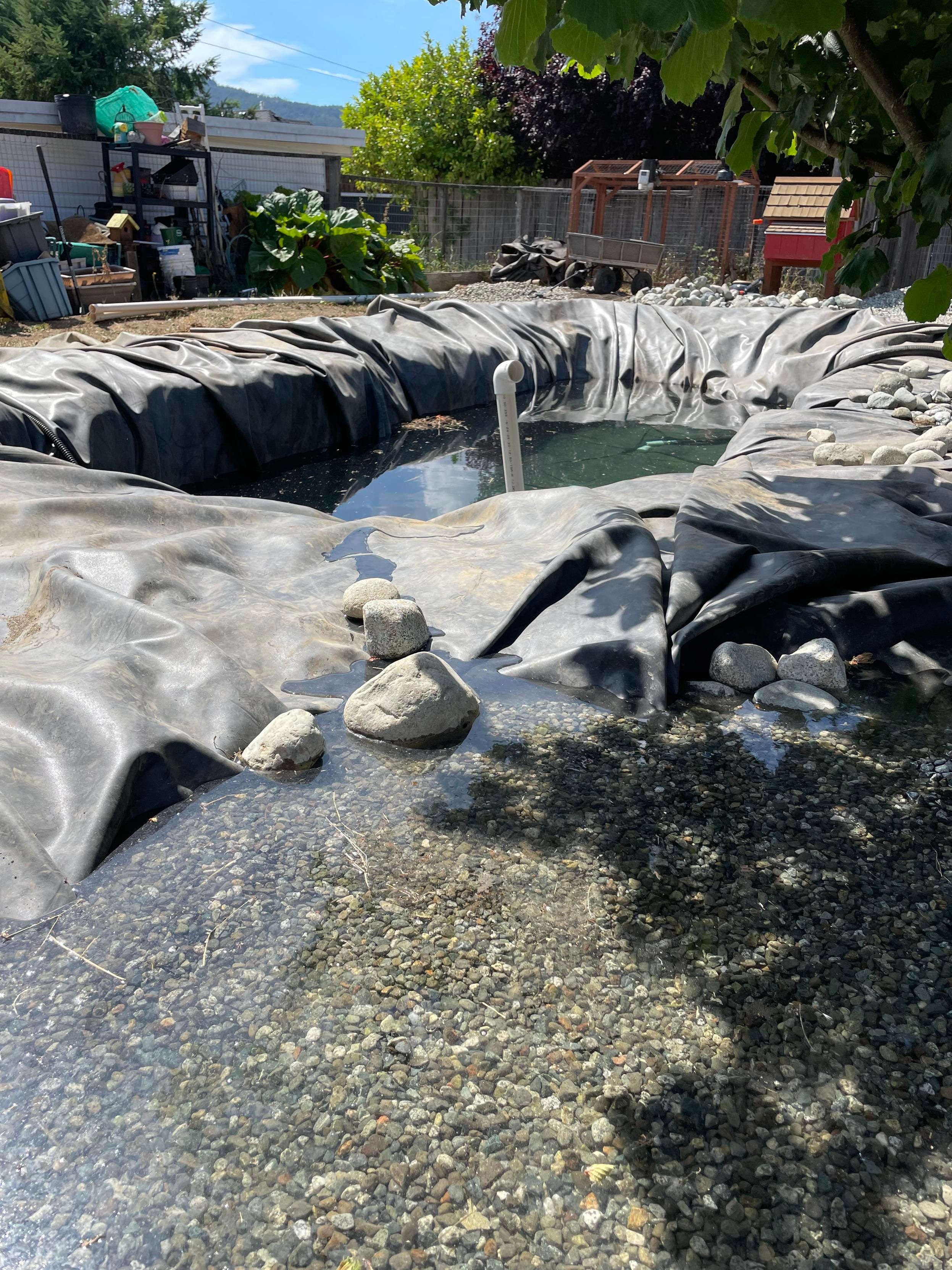 The first trickle from the filter to the main pond begins. It is from one corner to another. This is not the final product, of course. I intend to make a shelf that will turn into a kind of waterfall on this end of the pond. No time for that stuff now.