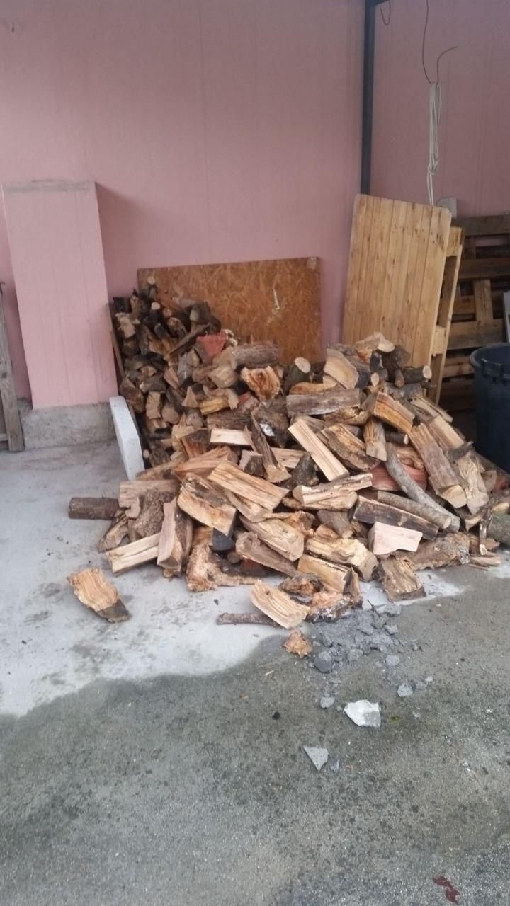 Mucchio di legna, principalmente olivo.