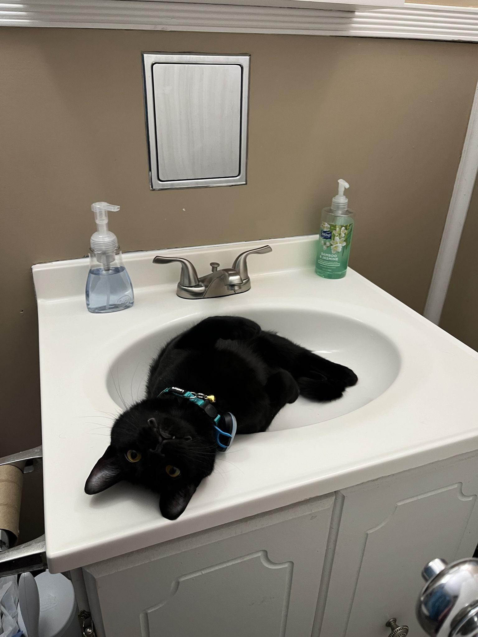 A void cat laying in a sink with a goofy fanged facial expression.