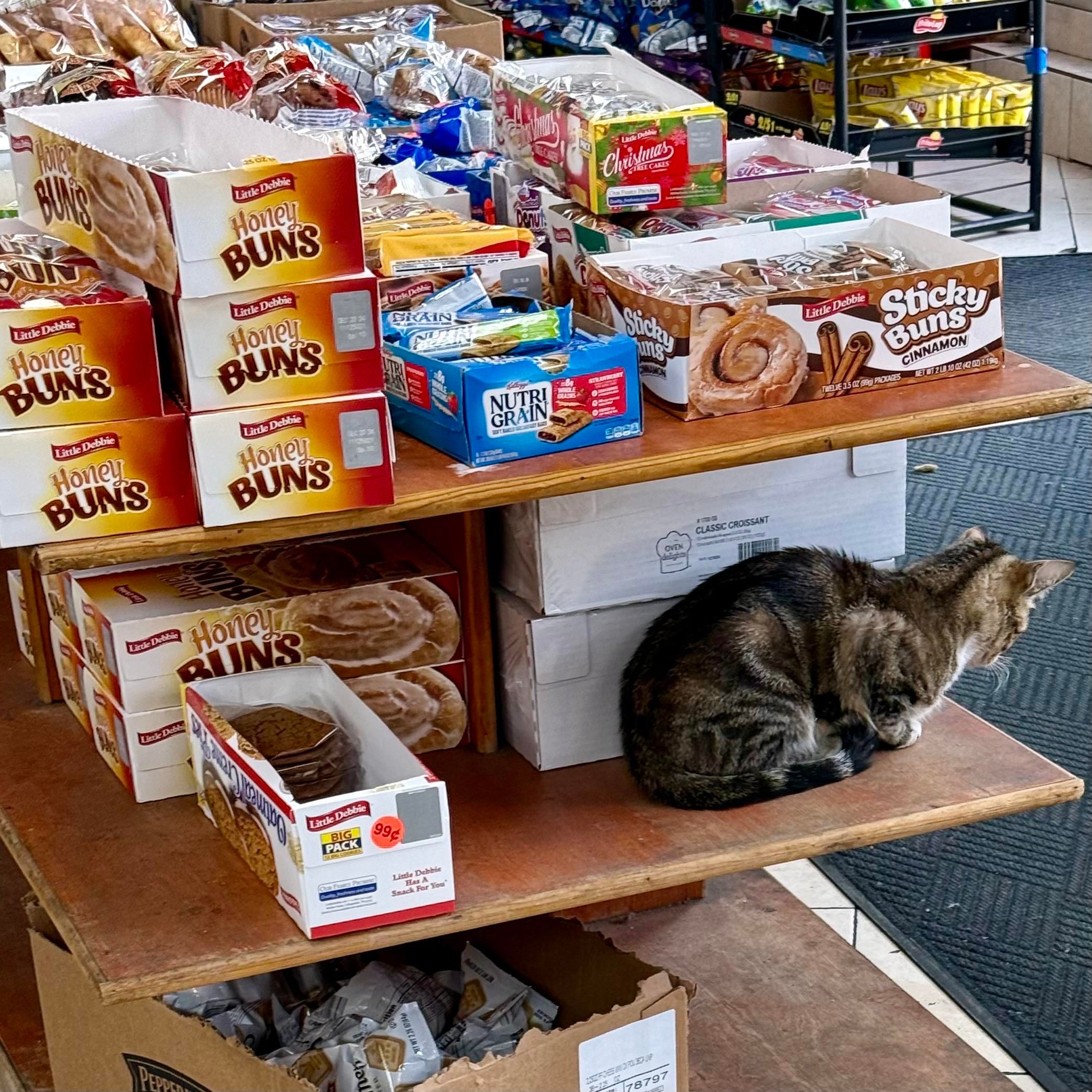 A color photograph in square aspect ratio. Taken during the daytime inside of a bodega in the Harlem neighborhood of Manhattan. A cat with tabby markings is sitting on a wooden shelf next to a stack of boxes of baked goods. The cat is facing away from the camera, looking to the right. The shelf is filled with various snack cakes and breakfast items, including boxes of Little Debbie Honey Buns, Little Debbie Sticky Buns, and Nutri-Grain bars. Various other food items are visible in the background. A dark grey color mat is seen on the floor between the shelves and the entrance to the store.