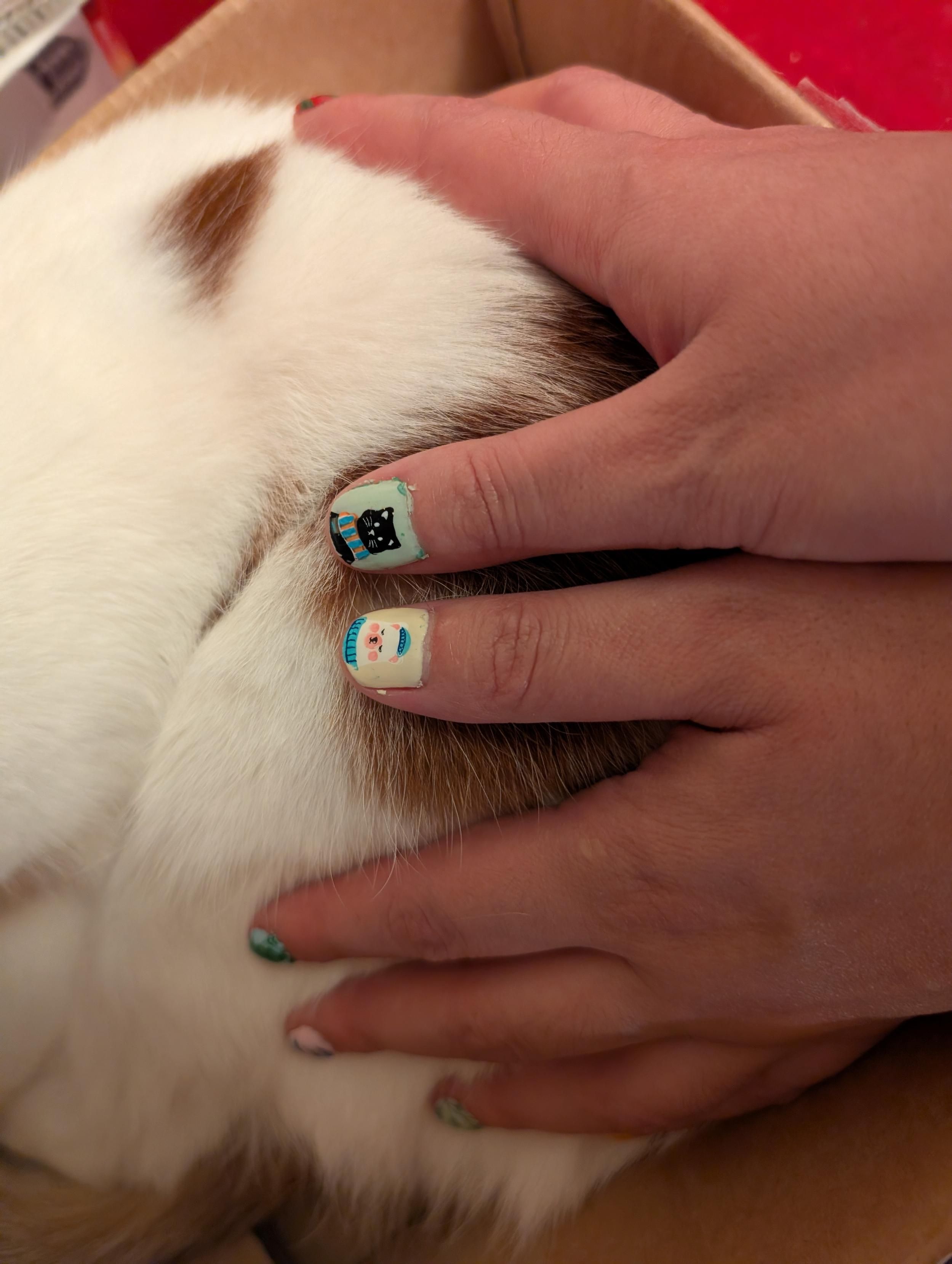 Two hands holding a white and orange cat, the thumbs are visible with images of a black cat wearing a scarf and a polar bear with a sweater and cap.
