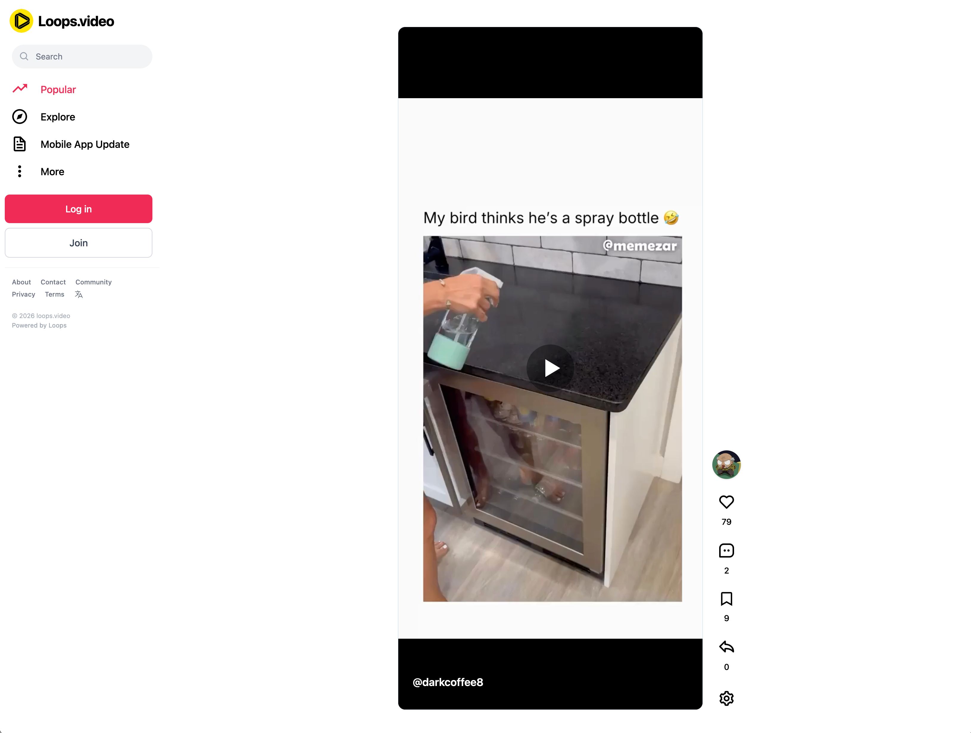 Loops.video circa Jan 2026
