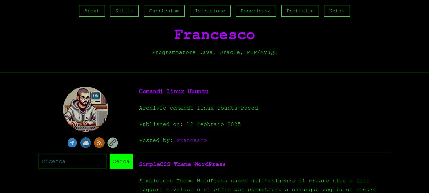 Sito wordpress con tema homemade che richiama l'aspetto di un vecchio gestionale (verde su nero e titoli in viola)
