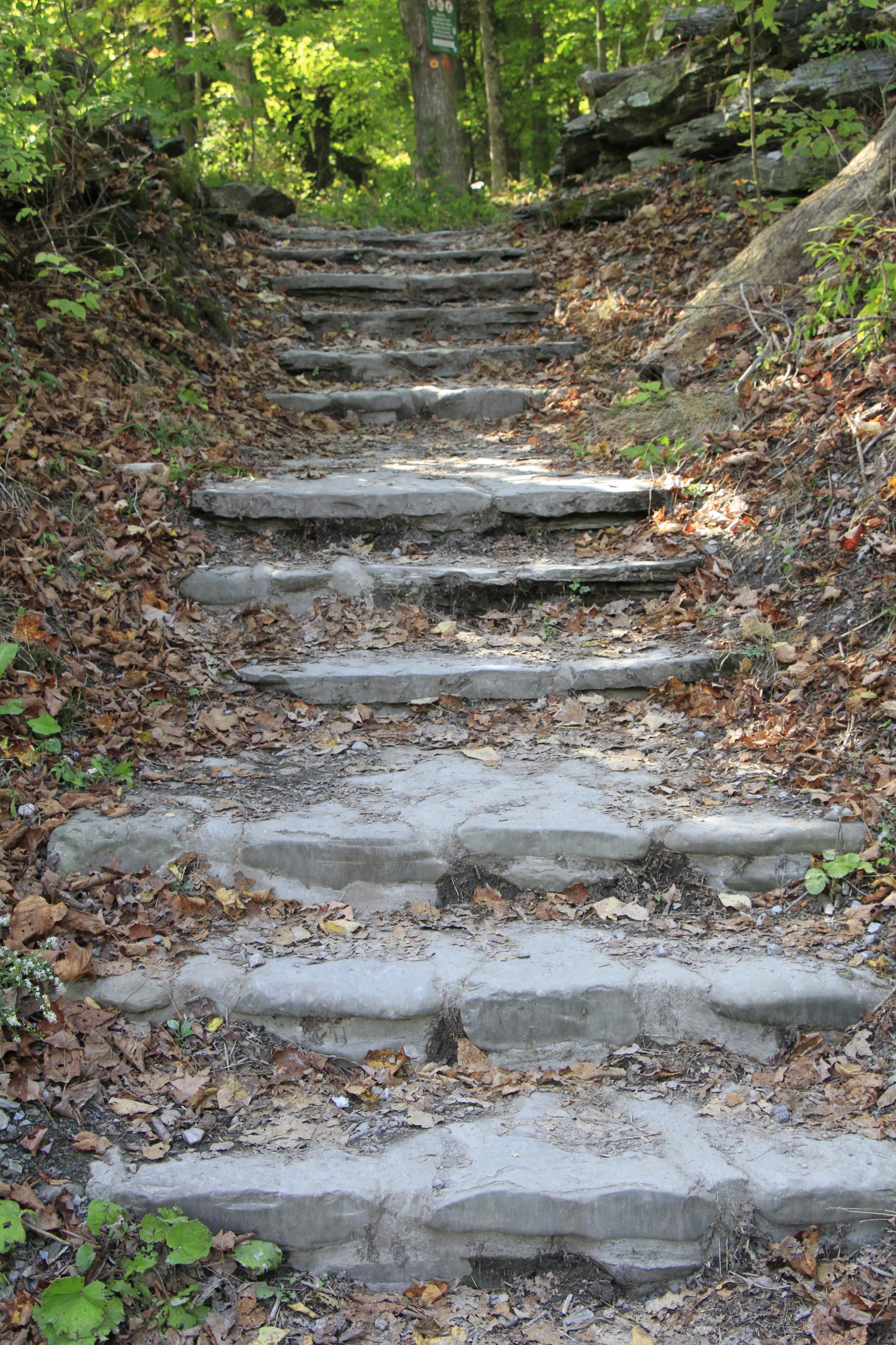Stone steps at Letchworth State Park