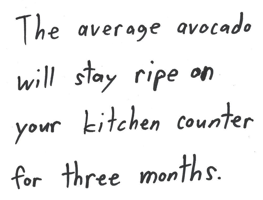 The average avocado
will stay ripe on
your kitchen counter
for three months.