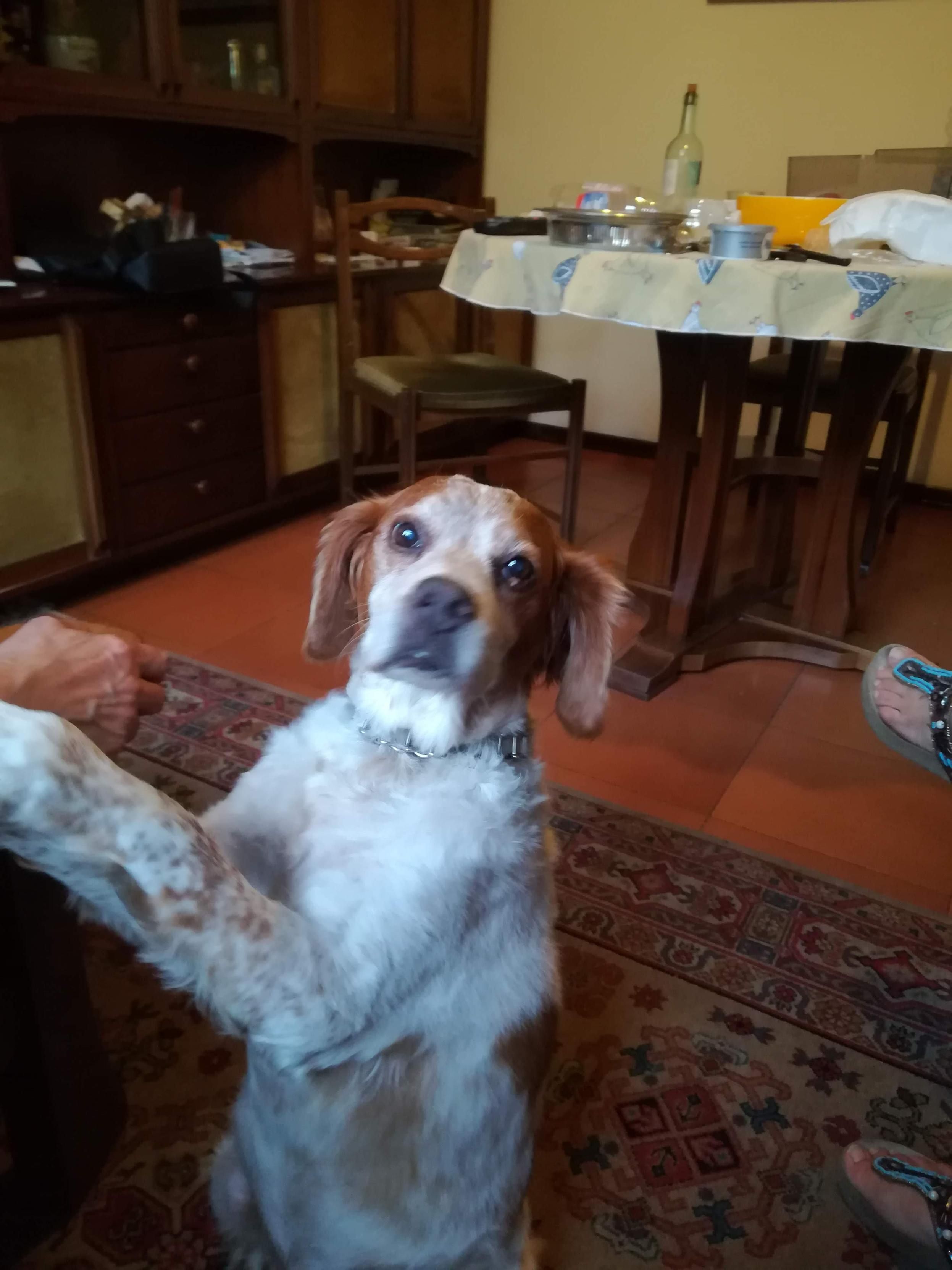 Buck che si aggrappa alla poltrona 